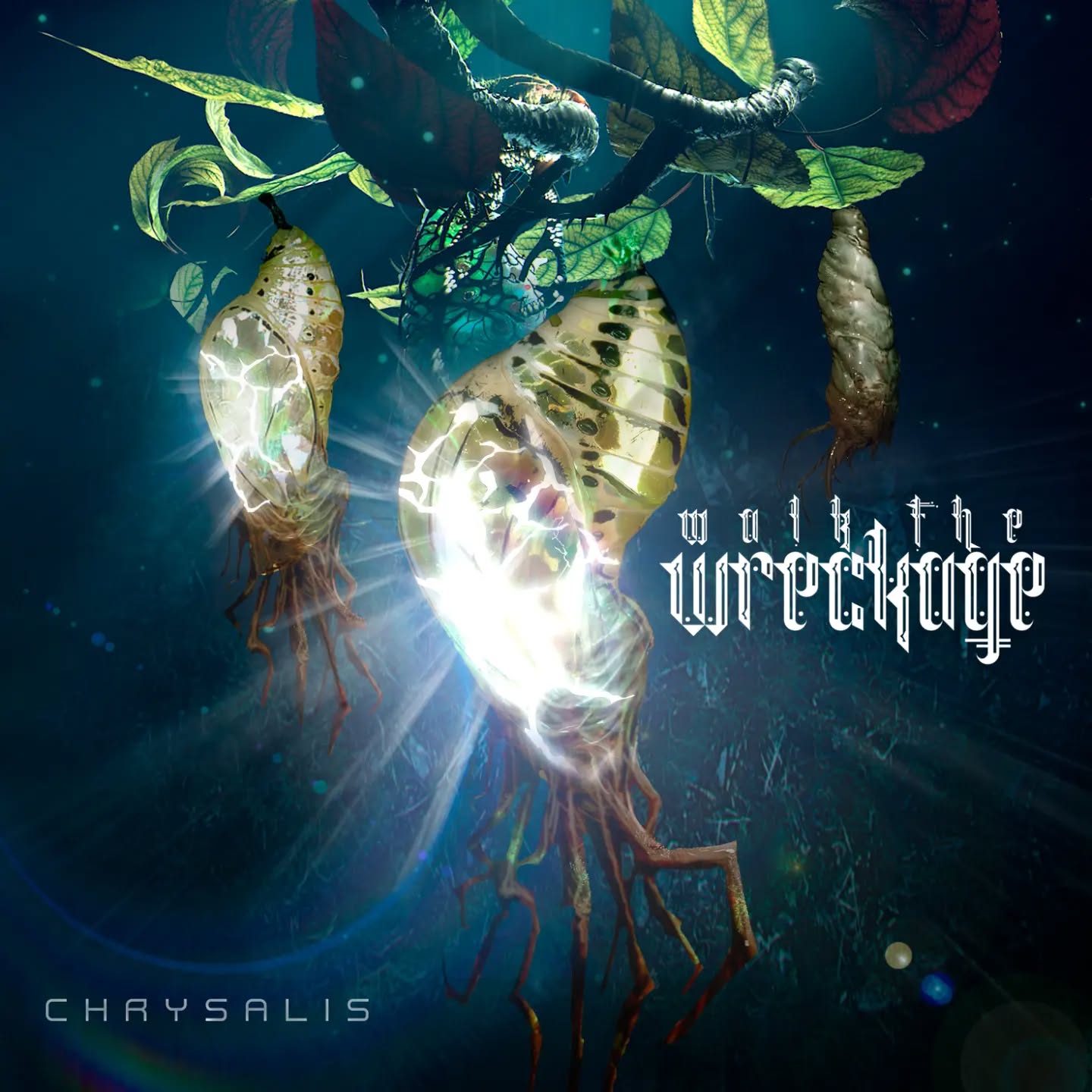 Our Chrysalis Album is releases today. Check it out on YouTube, Bandcamp or WalktheWreckage.com