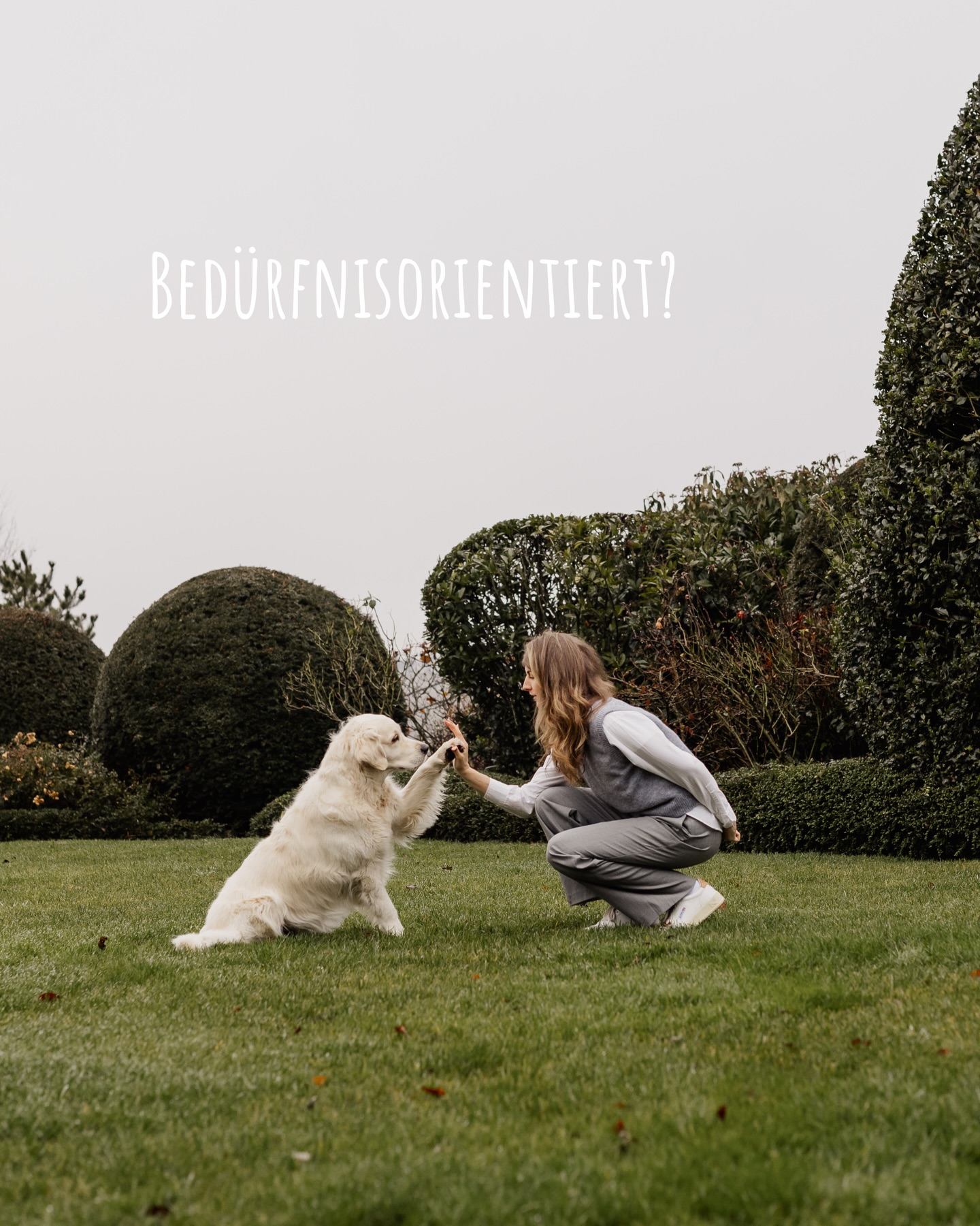 Was bedeutet bedürfnisorientiertes Training eigentlich?
Die Bedürfnisse des Hundes werden in das Training miteinbezogen. Wir konzentrieren uns auf die Stärken- also darauf, erwünschtes Verhalten zu bestärken, anstatt unerwünschtes Verhalten zu bestrafen. Damit einhergehender Misserfolg und negative Emotionen, die unter anderem zu Frust führen würden, werden somit vermieden.
Wir managen unsere Trainings und gestalten sie so, dass Lernen überhaupt im Gehirn stattfinden kann.
Wir arbeiten an der Ursache, anstatt die Symptome zu bekämpfen, um nicht nur momentanes, sondern langfristiges Verhalten zu schaffen.
Wir arbeiten am Vertrauen und der Bindung zwischen Hund und Halter, um eine freiwillige Orientierung zu schaffen- denn was man gern macht, macht man auch gut.
Training beginnt beim Verstehen- nicht beim Korrigieren. 🐾🤍
#tierschutzqualifiziert #hundetraining #gewaltfreieshundetraining #stjohannintirol #kindnessmatters