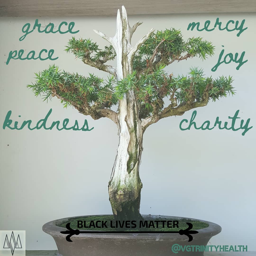 Take a moment to reflect. Be aware of #grace, #peace, #kindness, #mercy, #joy, and #charity. Much like a #bonsai, it may take a bit of pruning to see what is already there.
.
.
.
#mentalhealth #mentalhealthawareness #stress #trauma #anxiety #depression #soma #somaticexperiencing #healthylifestyle #gratitude #mindfulness #mindbodyspirit #takingaction #nostigma #free #hope #awareness #open #connection