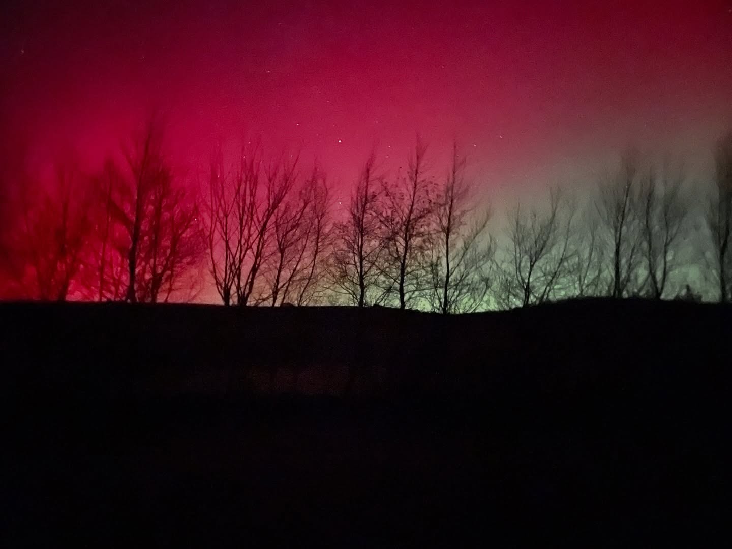 Here are some more photos of the Northern Lights that I took last night. The back of the house where the trees were had red and green and the side of the house had a beautiful green colour. (Swipe for pics)
It was mesmerising to watch the lights dance and go back out at a different times and see how the lights changed and the shapes changed as well. 🤩 I feel so blessed to finally have gotten to see them with my own eyes!🙏🏻
The colours were not as bright to the naked eye but with a timelapse photo, it showed the lights so bright. 🥰
#nightskyphotography #nightskyphotography #irelandphotography #irishsky #northernlightsphotos