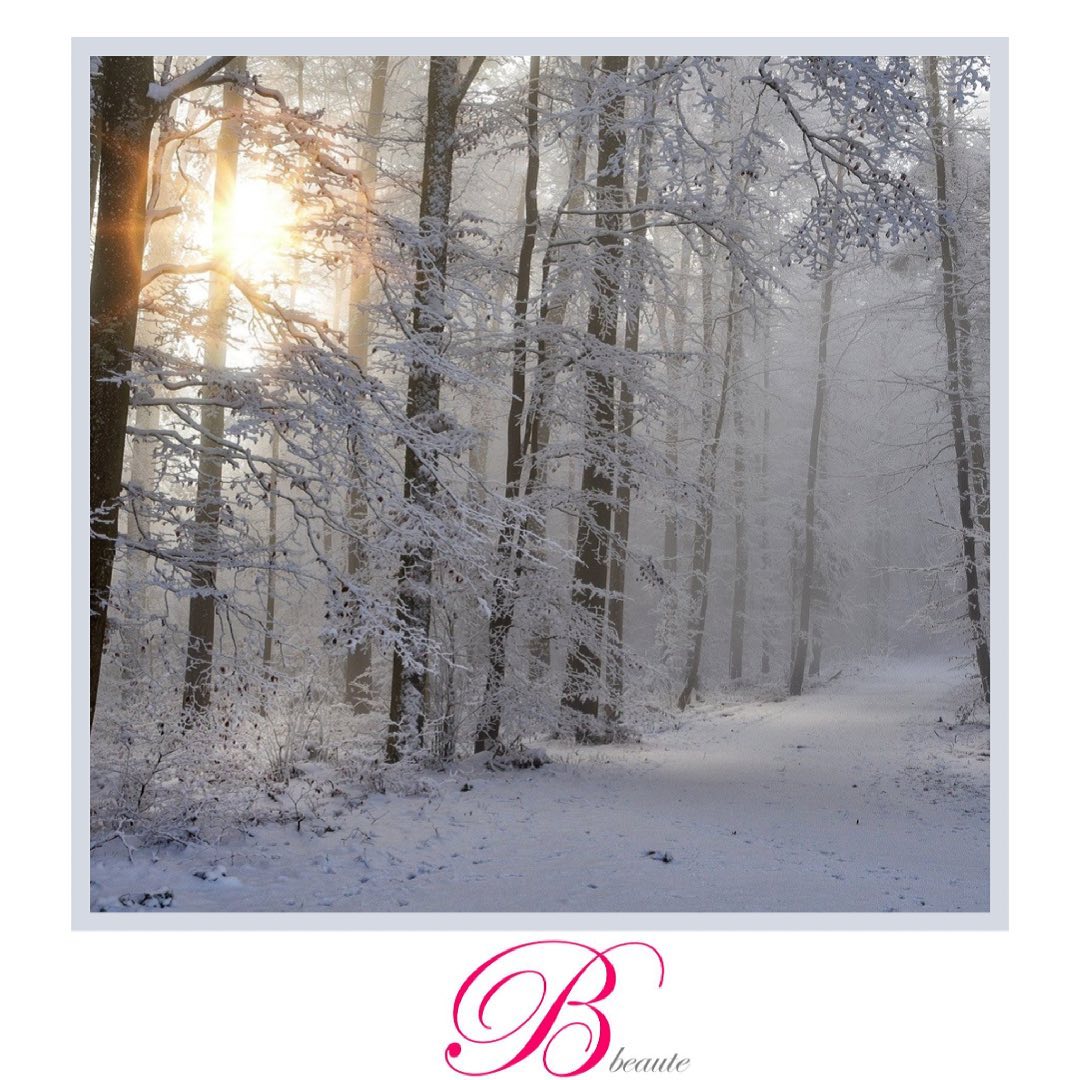 B R U M E
.
.
.
.
#institutbbeaute #bbeaute #foret #neige #femme #beauté #calme #amour #libre #gris #paysage #institut #hiver