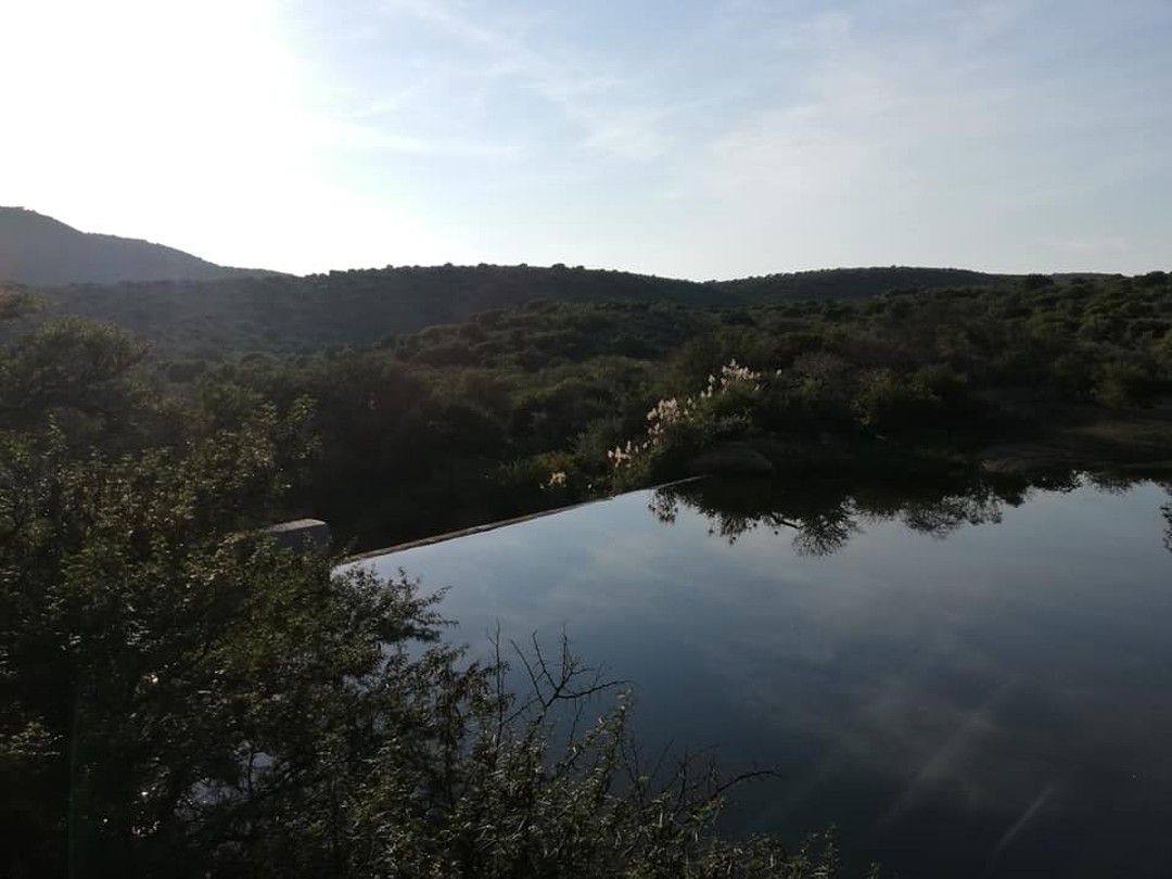 #nature #naturesbeauty #peace #view #naturesvoice #southafrica #africanature