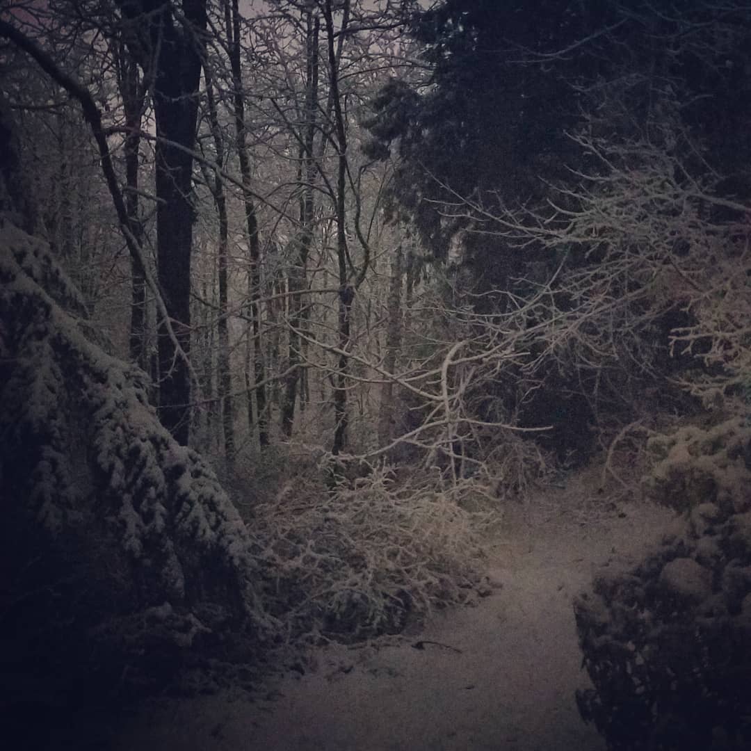 Look what I woke up to!First legit snow of Winter!
What an I doing?
Standing in the middle of it (in the dark), drinking a cup of coffee, and smoking a j.
#gratitude #solitude #witchesofinstagram #witchcraft #witch #pagansofinstagram #witchlife #snowwitch #solitary #bruja #420 #pnwlife #legalweed