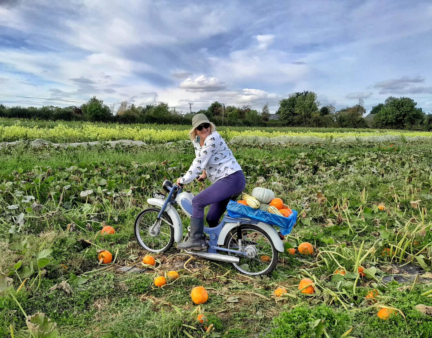 Mags has been busy collecting organic squash from Dermot Careys Organic Farm in Athy on her Garelli M1 1964 bike 🎃🍂🚲
Red kuri squash and delicata varieties now in stock at Hibernia. Open today until 2.30 and tomorrow from 9am!
🥕🥖🥚@local_food_producers
📍@airfieldestate
#seasonal #squash #pumpkins #Irish #farmersmarket #supportlocal #supportirish
