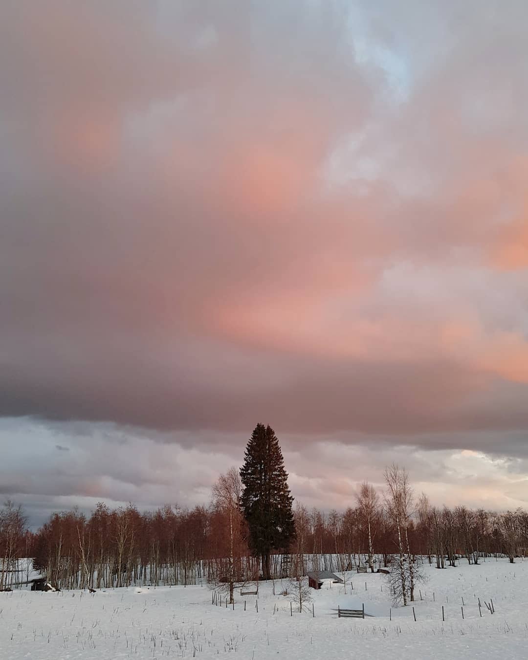 Little bit of pink in this spring evening
#sunset #springtones #puustilascenicfarm