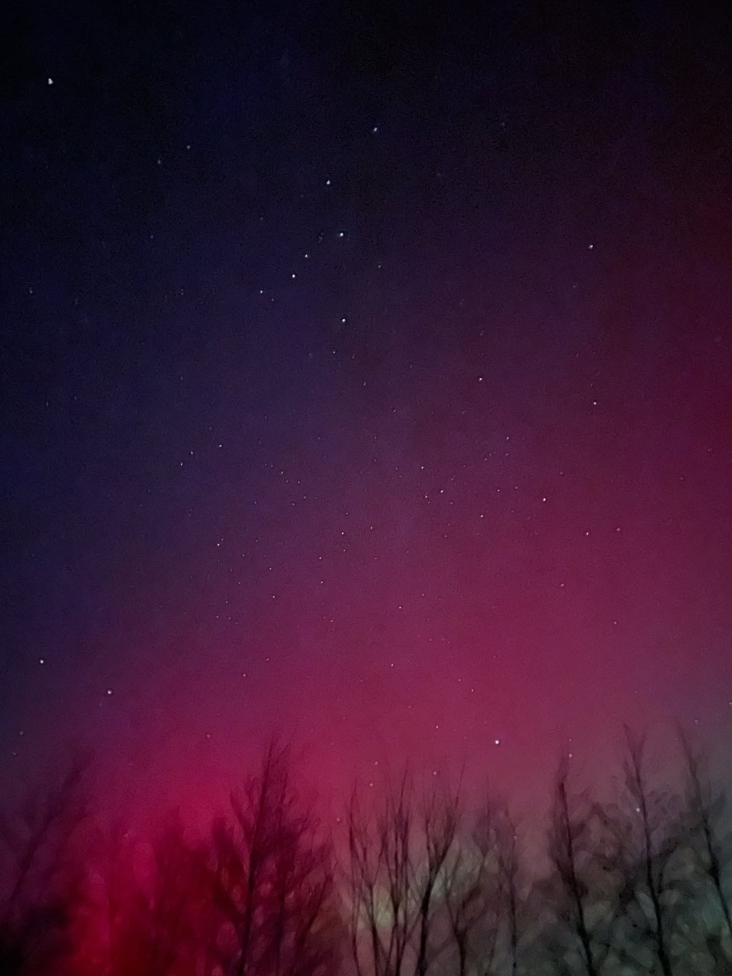 I’ve always wanted to see the Northern Lights & I did tonight. They are brighter in the photo than real life. Swipe to see a video of how they look to the eye. 😍
Taken from the west of Ireland 💓
#northernlights #northernlight