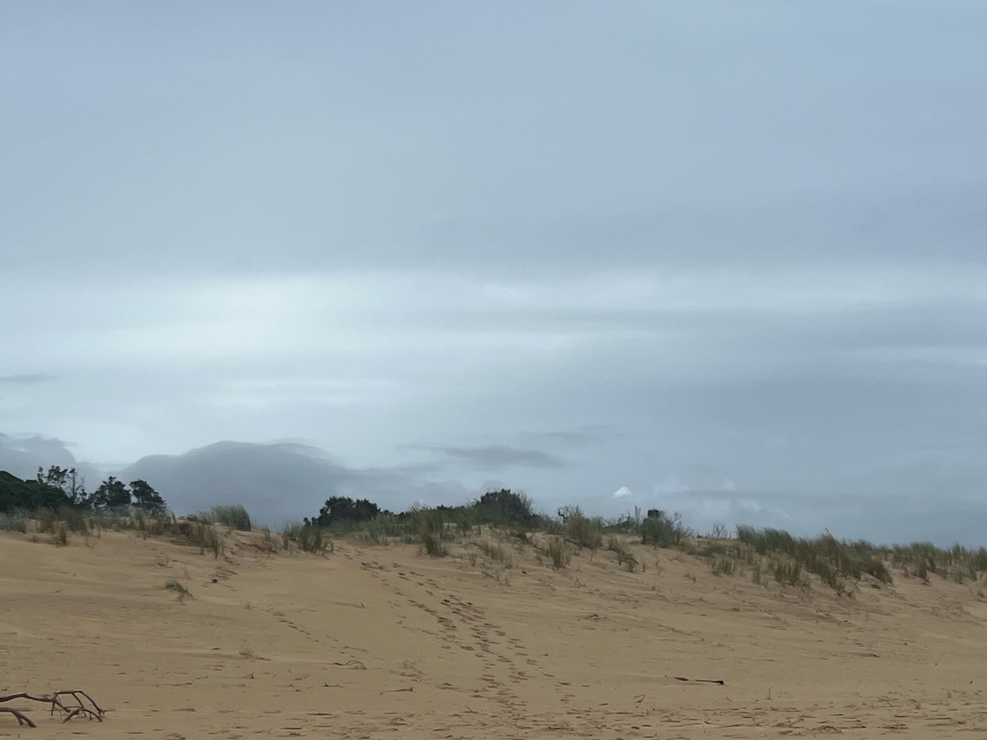 Road trip! We’re currently about halfway through a camping road trip up the VIC / NSW coast. Weather has been kind (despite some of the overcast skies) it’s been warm with just a little rain overnight in a few places. Lazy, relaxing days, tasty food, wildlife, awesome scenery and lots of fresh air. Loving the coastline, and so much inspiration in the big beautiful skies. Looking forward to painting once I’m back home again 😁