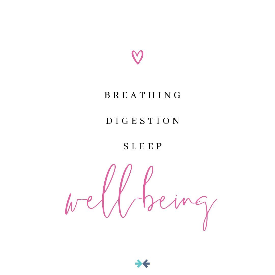 I recently read that in order to maintain health and well-being, we need to breathe well, sleep well and digest well ๐ซ๐ด๐Sounds so simple, but stress can easily disrupt all 3 of these basic functions, which quickly spreads to a weakened function in other areas of the body. And while most of us focus on getting enough sleep and eating the right foods, how many of us are focused on how well we are breathing everyday? Are you taking time out of your busy schedule to take some full, deep belly breaths?๐ฌ
When all three of these functions are working at the highest potential, we feel good overall and have a sense of resilience ๐ Reiki and massage work to restore all 3 of these and can help bring you back to that state of equilibrium for optimal healingโค๏ธ Come on in and try out Reiki if you havenโt already, and if you canโt remember when you got your last massage, then you know you need it! ๐ I offer a 90-minute โBody + Soulโ treatment at @saltspaandyoga so you can get both in one session ๐
#reiki #reikihealing #reikimaster #charlestonreiki #chsreiki #lightworker #chakrahealing #yoga #healing #meditation #love #chakras #reikihealing #crystals #reikimaster #amor #energyhealing #crystalhealing #energy #spiritual #chakra #spirituality #spiritualawakening #massage #selfcare #soulcare