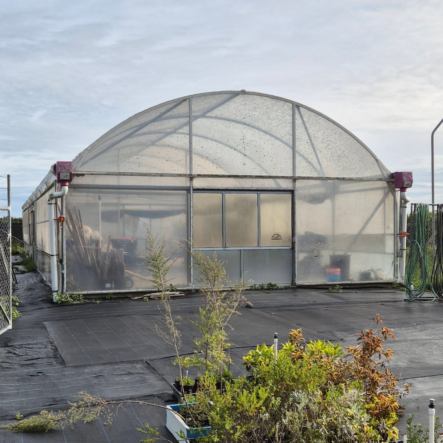 We’re currently in the process of setting up our very own plant nursery inside Toi Ohomai’s tunnel house!
We’ll be growing a range of native dune plant species that will later be planted throughout the sand dunes of Mount Maunganui to help restore and protect this special coastal environment.
As part of this project, we’ll also be taking HeadStart participants into the tunnel house to gain hands‑on experience in plant propagation, nursery skills, and raising healthy native seedlings. It’s an awesome opportunity to build practical skills while contributing to real restoration mahi.
A huge thank you to Toi Ohomai for generously allowing us to use this space, your support is truly appreciated and is helping us bring this project to life.
Stay tuned for updates as things begin to grow!
#coastalconservation #ToiOhomaiInstituteofTechnology #HeadStartProgramme #OutflowTrust #acornfoundation