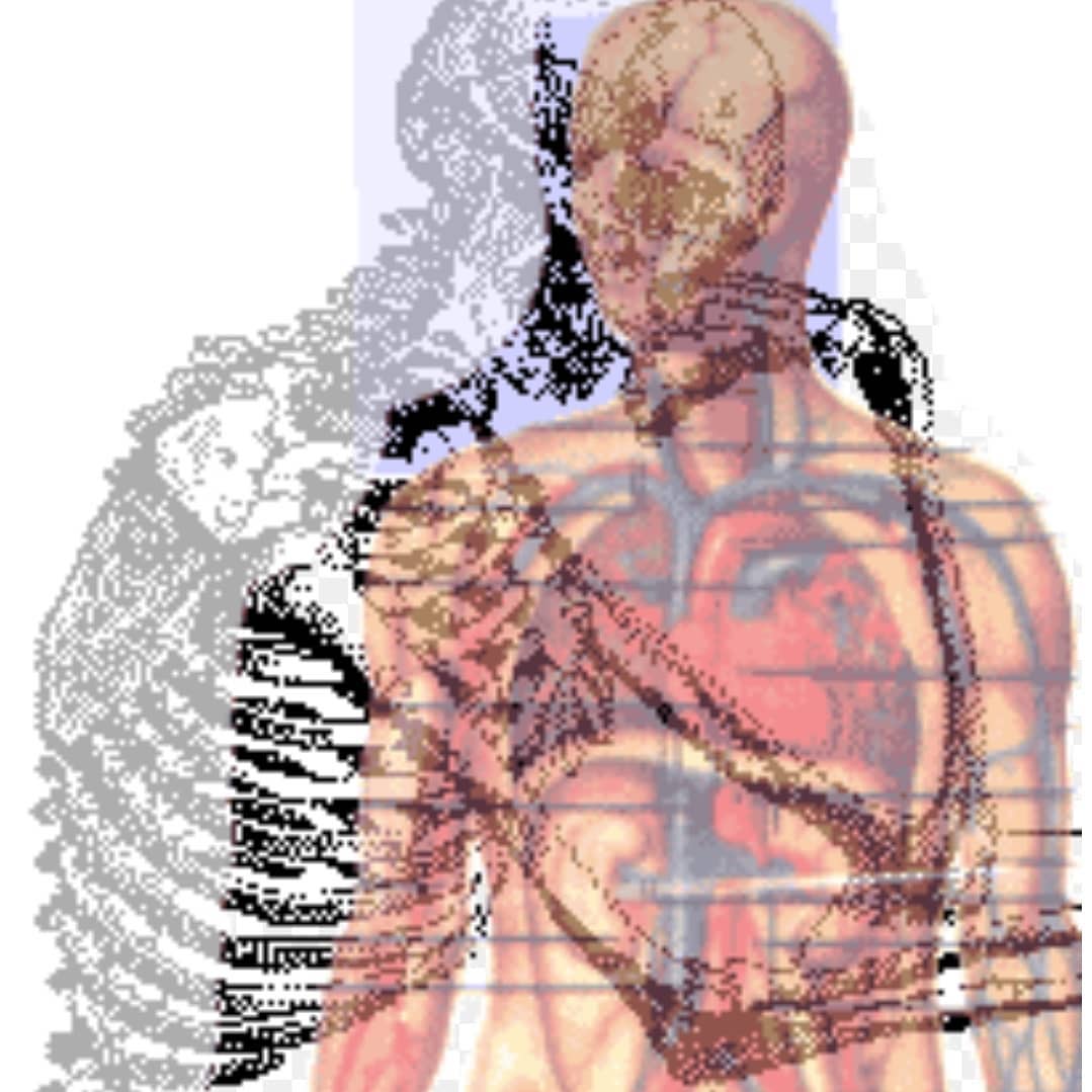 Physical and mental trauma many times can be buried deep in the bones, blood, and muscle tissue. The physical body holds pictures and information in it from things we experience on this human plane. As we go through change and growth, many times these pictures will surface from our minds and bodies and we will re-experience them. At this point having visualizations tools to help deprogram both the physical and spiritual body are quite helpful. Spiritualmechanics.org
#spiritualmechanics #trauma #programming #deprogramming #spiritualdevelopment #spiritualgrowth #visualizationtools