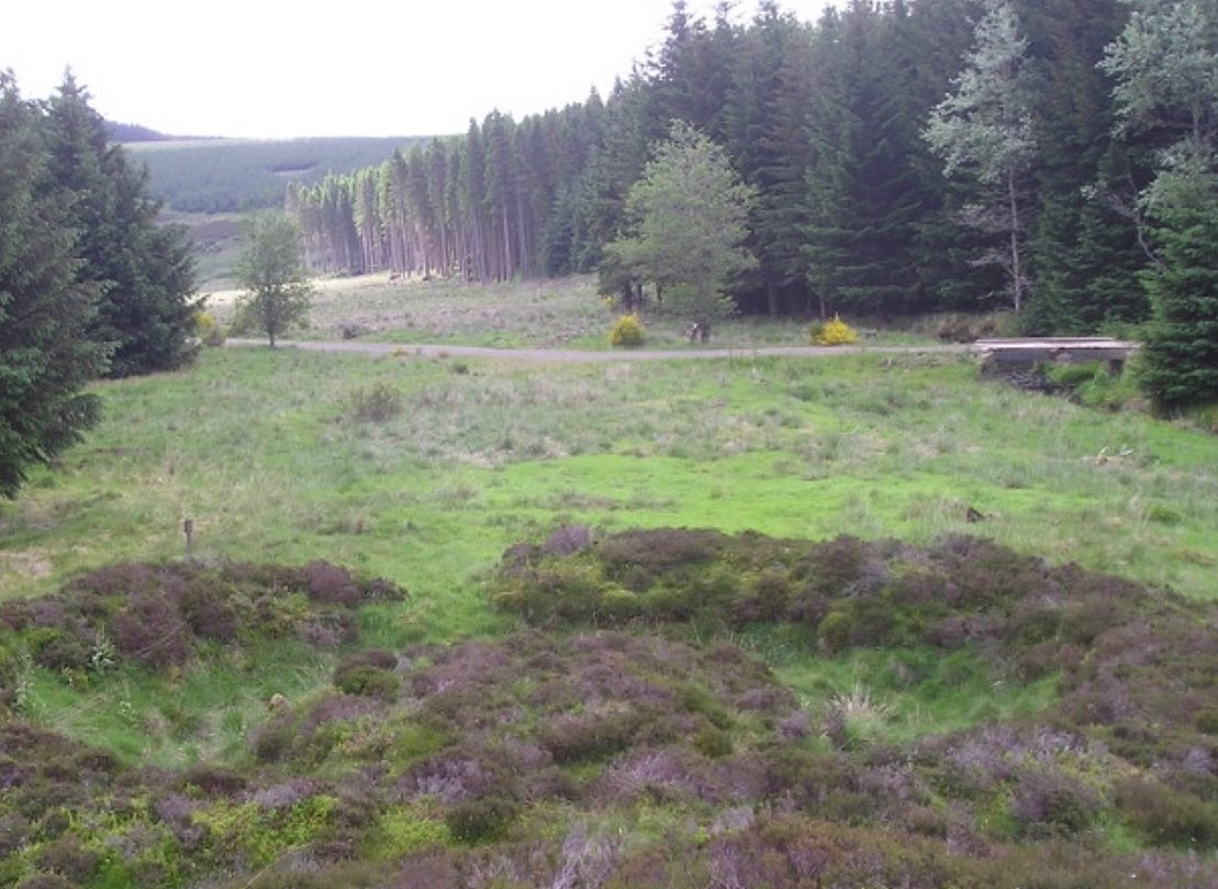 Wormy Hillock, or Dragons Grave, is thought to be 12,000 years old. Visit in Aberdeenshire