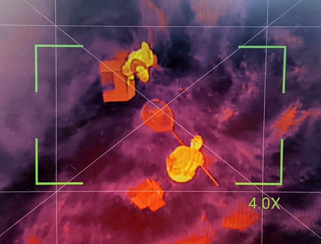 Ein Rehkitz im Kescher! Warum? Genau so wichtig wie eine gute Wärmebild-Drohne zur Aufspürung von Kitzen sind die Helfer im Feld. Je mobiler die Kitze werden, desto schwieriger wird es sie zuverlässig zu sichern (also am Rand solange festzusetzen, bis die Fläche gemäht ist und keine Gefahr mehr besteht). Viele Kitzretter setzen dabei mittlerweile auf große Kescher, um ein Abspringen des Kitzes in letzter Sekunde zu verhindern. So kam auch bei uns gestern zum ersten Mal ein riesiger Kescher erfolgreich zum Einsatz! Zu sehen ist das Wärmebild eines solchen Momentes, in dem die Helfer ein Kitz sichern konnten.
#rehkitzsuche #rehkitzsuche2021 #rehkitzrettunghannover #rehkitzrettunglangenhagen #tierschutz #waermebilddrohne #flir #djimavic