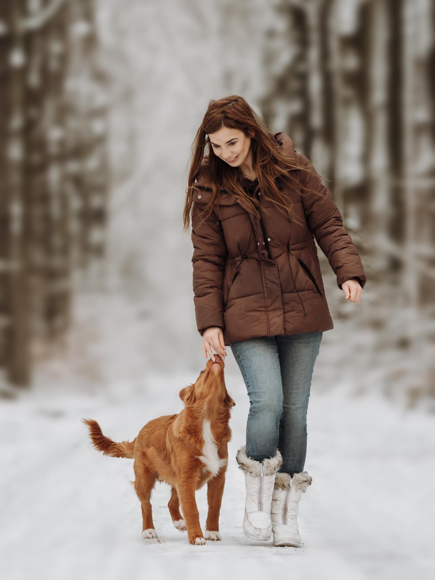 Ozzy, een Novia Scotia Duck Tolling Retriever van 5 maandjes oud. Wat een plezier om voor de lens te hebben. Ondeugend en jong maar toch al zo flink. De sneeuw maakt deze plaatjes helemaal af! 🤍