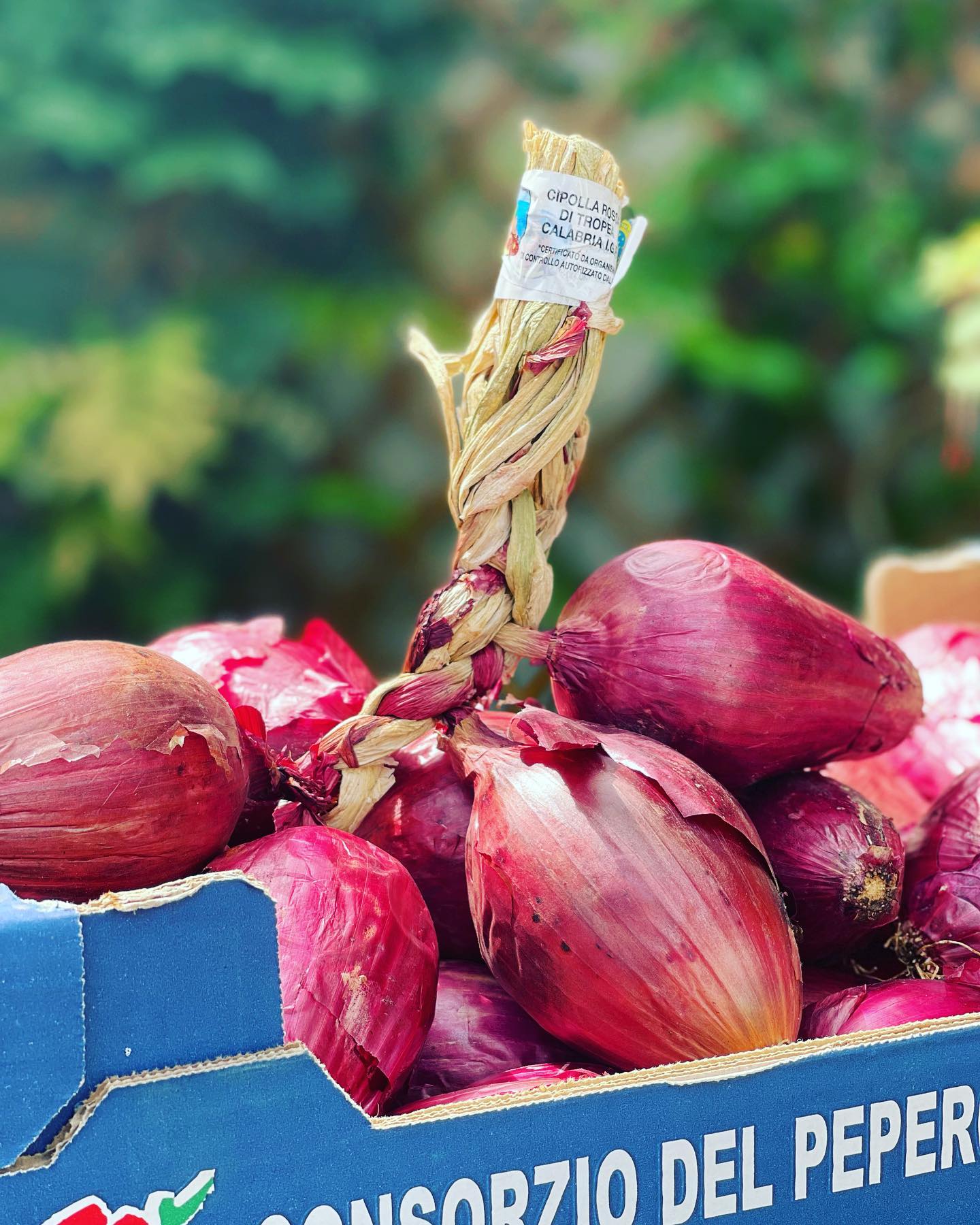 Onions contain antioxidants and compounds that fight inflammation, decrease triglycerides and reduce cholesterol levels — all of which may lower heart disease risk. Their potent anti-inflammatory properties may also help reduce high blood pressure and protect against blood clots #onions #goodforyou #healthyfood #healthylifestyle #healthyeating #live #life #antioxidants #vitamins #everyday @lizzies_cucina #fresh #food #chef @carmelo_carnevale @chef_med_2019 #themediterraneanway #mediterraneandiet
