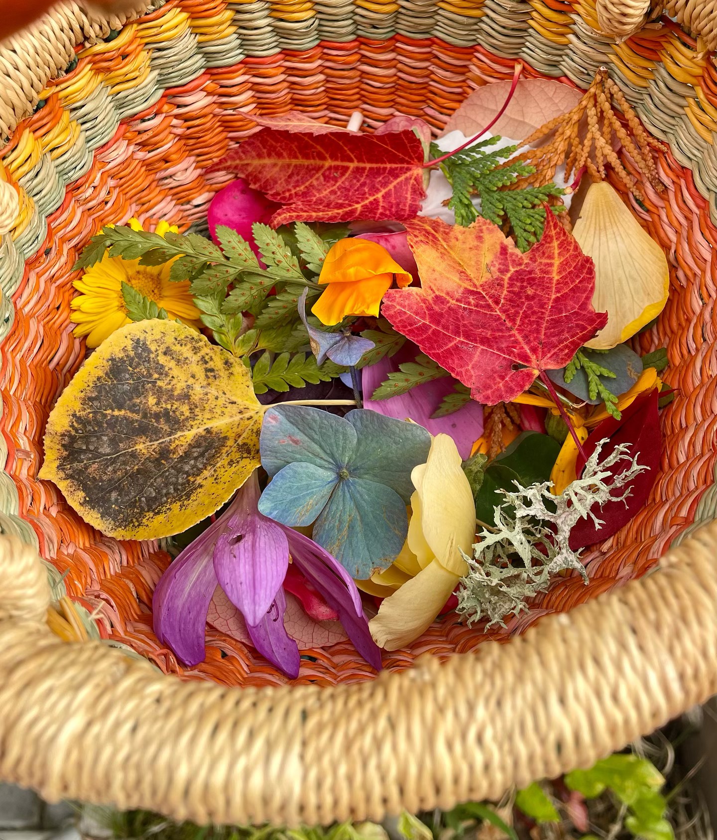 Stay tuned for a fun fall craft (and special!) for the spa coming soon 🍂💐🍁