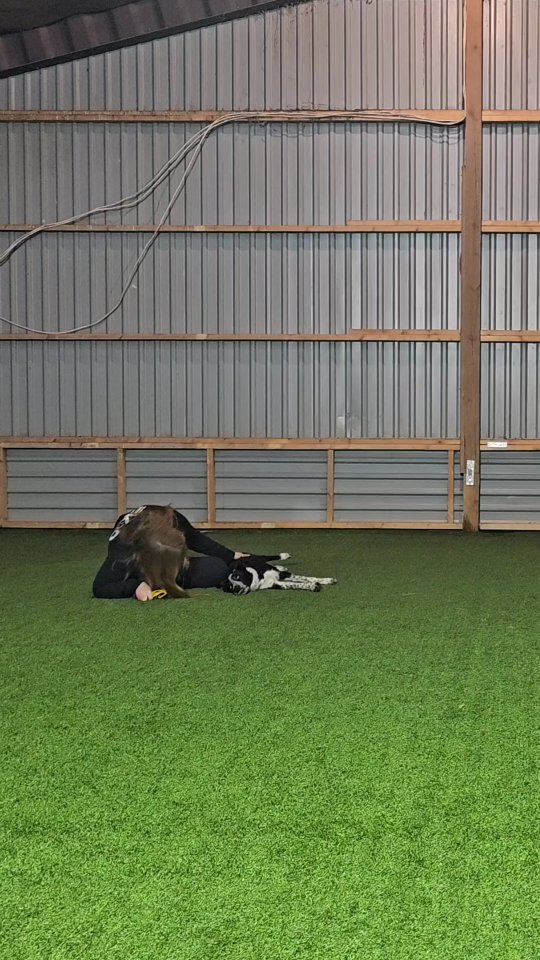 In the middle of all the chaos in my life right now, I stumbled upon the perfect music for Spud's new routine in Freestyle (not the one in the reel). It came to me when I walked the dogs and had a new playlist playing in my headphones. I've heard it so many times before, especially growing up, but never thought of using it as music for a routine.
The text feels on point however. And for those of you who know: Building routines with a strong message is my therapy going through something in life. It's how I recover and how I tell a story, without putting it out there in words. That's the reason I love Freestyle, because I get to express myself in a way I couldn't do otherwise.
Now, I first heard the original version and I thought: "It's such an old song, it should have another version of it by now". And sure there was. And oh my, it's everything 🫶
I will build this routine over the next couple of weeks/months and share the journey and my thoughts in my Training Diary 🖤