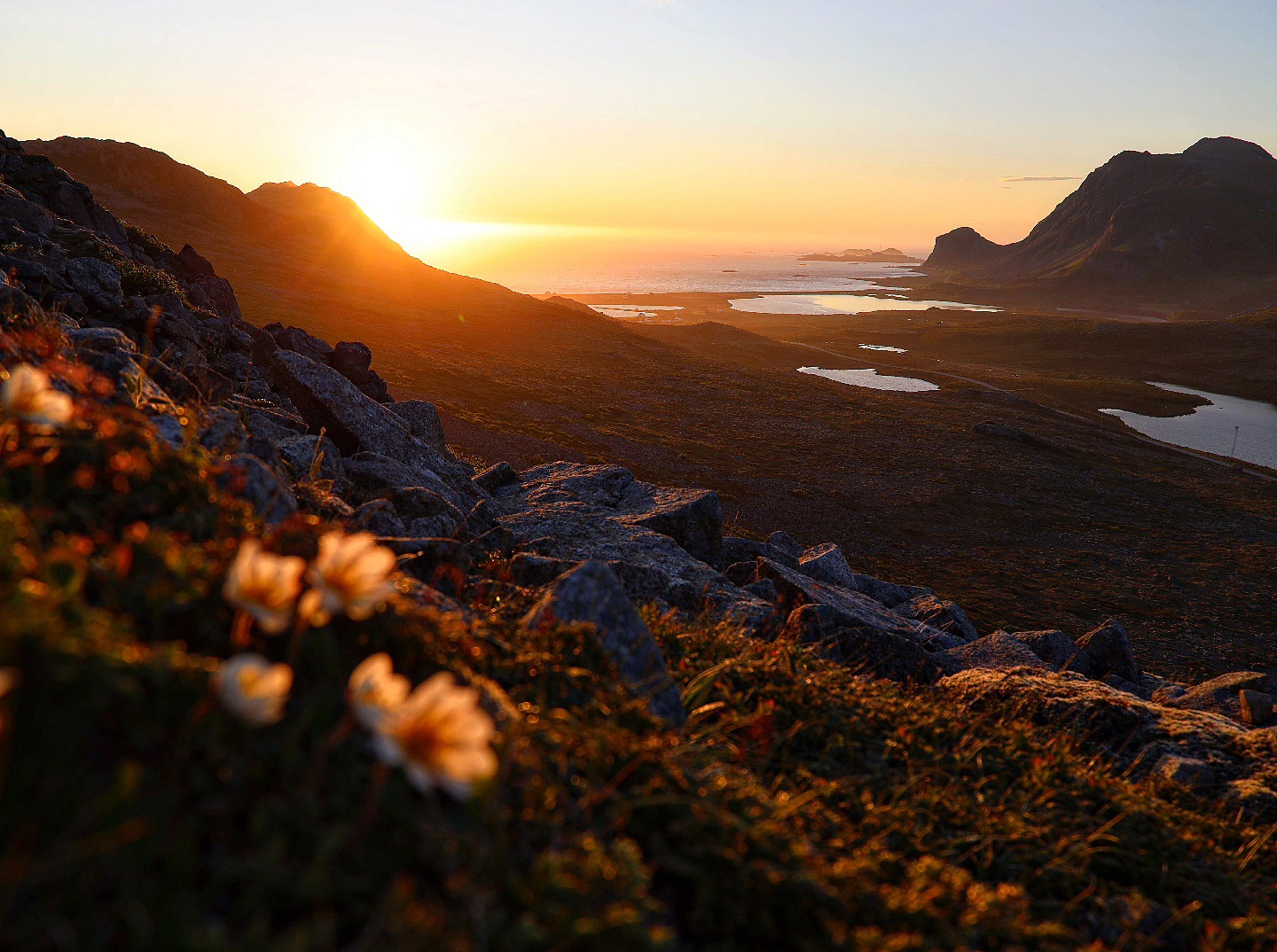 Hallo ihr Lieben, wir sind inzwischen auf den atemberaubenden Vesterålen angekommen und könnten kein besseres Wetter haben. Das Foto entstand gestern bei der Mitternachtssonne auf dem Bufjellet. Es war einfach so schön anzusehen und dafür haben wir gerne in Kauf genommen etwas später ins Bett zu kommen: 2 Uhr waren wir dann wieder im Womo 🤭
Wir haben ansonsten mit der Tierwelt diesmal anscheinend einen Pakt geschlossen, so viel Glück bei Tiersichtungen hatten wir noch nie, auch wenn wir nicht von allen ein Foto machen konnten:
5 Elche standen bereits am Straßenrand.
1 Fuchs und 1 Hermelin (so süß) überquerten die Straße.
Besonderes Highlight: im Wald vor uns rannte auf einmal 1 Luchs vor uns davon, wir wissen nicht, wer sich mehr erschrocken hat.
1 Steinadler saß gestern in unmittelbarer Nähe auf einem Felsen
2 Seeadler saßen heute auf etwas weiter entfernten Felsen.
Rentiere mit ganz kleinen Kälbchen
1 Schneehuhn und die anderen waren lautstark zu hören
- - - - - - - - - - - - - - - - - - - -
#bufjellet #vesterålen #norge #norway #norgefoto #norwegen #mitternachtssonne #midnattsol #mynorwaystories #norwaynature #reisenmachtglücklich #naturephotography #visitnorway #norway2day #wandernmachtglücklich #norges_fotografer #norwegen🇳🇴 #norwegenliebe #reisefotografie #landschaftsfotografie #landscapephotography #wanderlust #fernweh #midnightsun #norwayphotos #explorenorway #ilovenorway #norwayphotolovers #camping #wohnmobilurlaub @norge