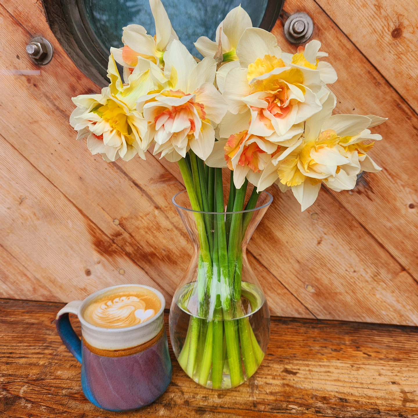 Happy June and happy Pride month! 🏳️🌈
Thank you, everyone, for all the love and support in May. We love seeing all of our local friends and the brave, early season visitors during the shoulder season! You are what keeps us coming back! ❤️☕️ ❤️
Flowers from @alaskabeautypeony