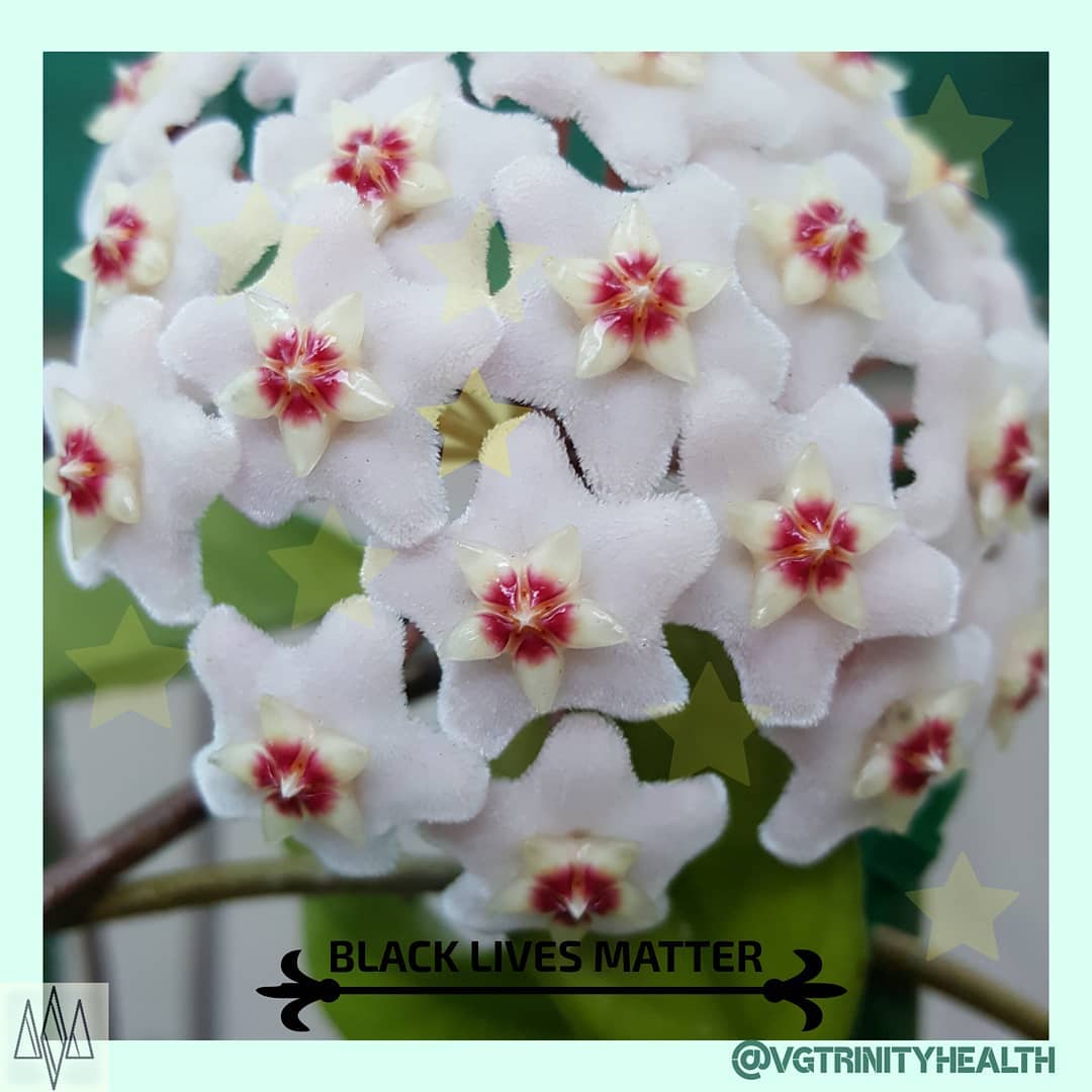 Be a star in your life -- shine brightly for yourself and those around you. We are in this together! ⭐🌟⭐🌟⭐
.
.
.
.
.
#mentalhealth #mentalhealthawareness #stress #trauma #anxiety #depression #soma #somaticexperiencing #healthylifestyle #gratitude #mindfulness #mindbodyspirit #takingaction #nostigma #free #hope #awareness #open #connection #trust #nature #beauty #gift