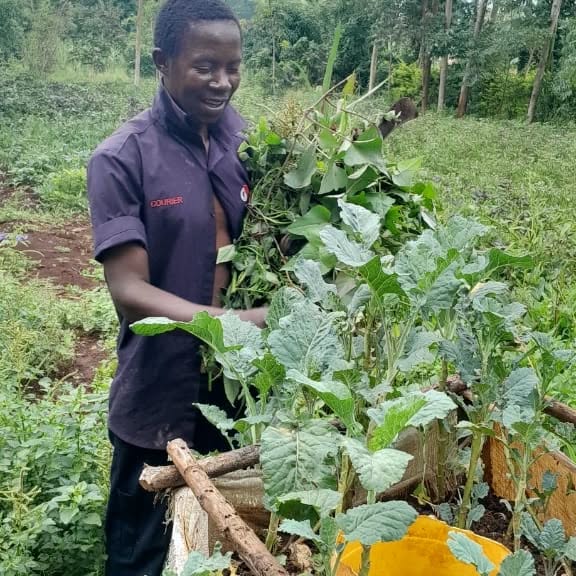 Nice to see our farmer's practicing the techniques we train them on