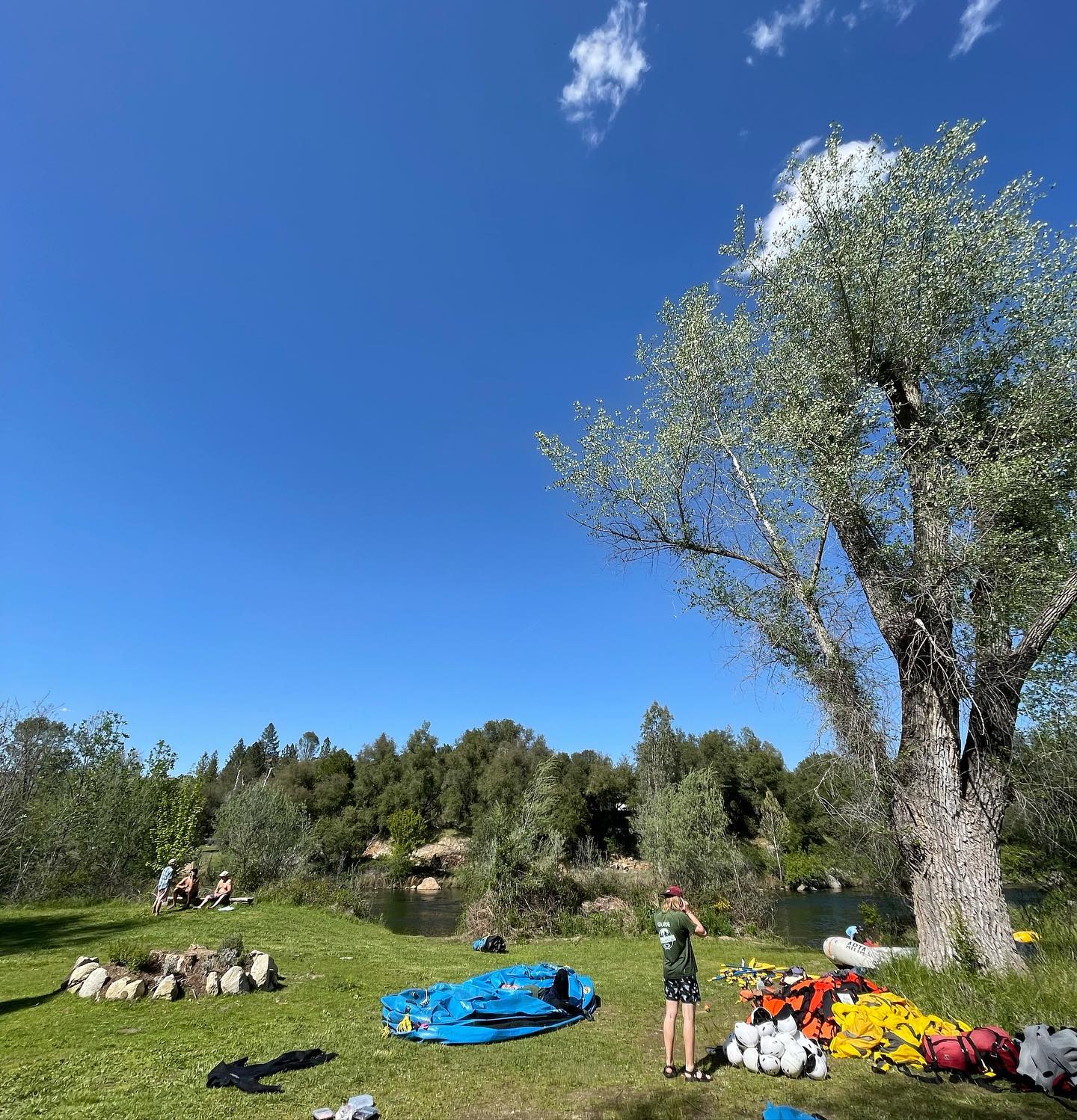 Puffball clouds and spring days #camplife #southforkamerican #rivertime #californiacamping