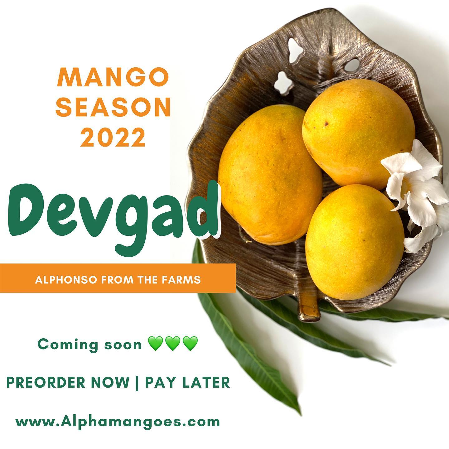 The season is around the corner!
Get your preorders in place and pay later. Its time to start dreaming about juicy alphonso devgad mangoes!!!
Visit www.alphamangoes.com
#mango #zara #food #foodie #foodporn #stradivarius #bershka #fruit #fashion #foodphotography #yummy #hm #fruits #strawberry #dessert #instafood #love #summer #healthyfood #pullandbear #delicious #pineapple #homemade #vegan #ratnagiri #icecream #healthy #instagram #devgad #devgadmangoes