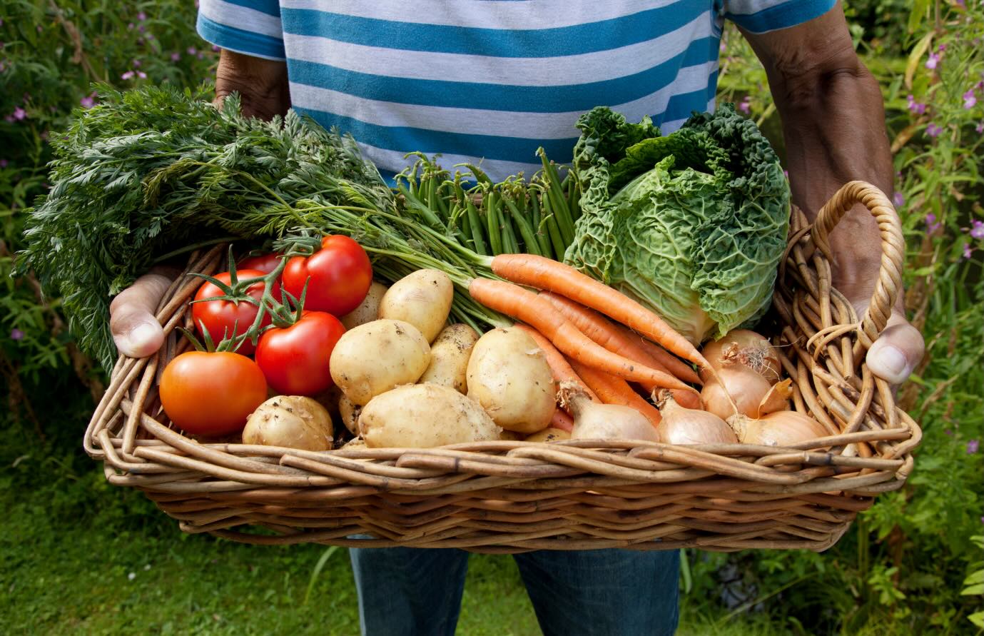 In uncertain times, trust what you grow yourself. Your home, your garden, your veg, fruit, and flowers. 🌼 Don’t forget your soil...test it with Safe Soil UK.
#growyourown #healthysoil #SafeSoilUK #uncertaintimes