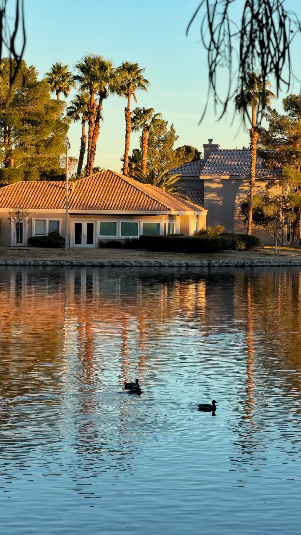 Un moment doux at golden hour at Marché Bacchus ✨💌
