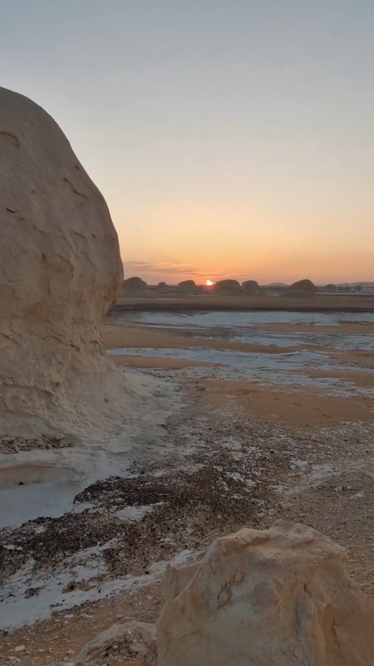 **Welcome to Aquarius season.**
🦋 The part of us that holds our creative genius is asking for space and freedom to emerge into consciousness.
Aquarius reminds us that our gifts are not meant to be contained, but offered — in service to Life itself.
🦋 This is a season of vision and remembrance, where individuality meets collective purpose, and where we are invited to walk the path of universal Love, unity, and conscious contribution — in the most authentic way we can.
🦋 In a month we start Eclipse Season, with a Solar Eclipse in Aquarius for the first time in years. Are you ready to bring your gifts to the world and embody the changes you want to see?
To know more, follow @kalokura_medicine ✨️