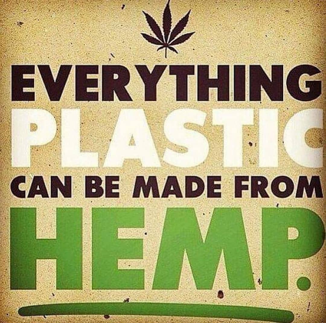 Simple as that. Stop using plastic. We have enough garbage. Grow hemp. Use it. Enjoy all its benefits. Its organic. Its easy to grow. Its free.
#hempseeds #cbdoil #plasticfree #growhemp #cbdheals #healthylifestyle #dropoflife #lovelife