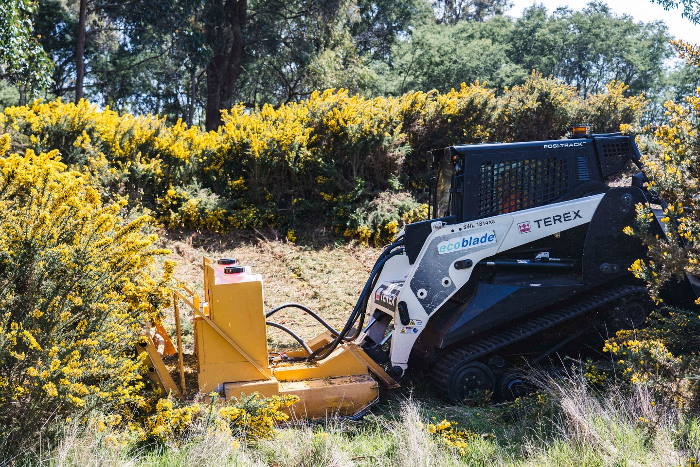 Gorse can take over faster than you think.
This is what it looks like once it’s had time to settle in—and what it looks like when we start pushing it back.
If you’ve got ground that’s become unusable, we can help reclaim it.
Contact Paul via messenger or the MVC website for a free quote.
.
.
.
.
.
#mountainviewcontracting #mvcontracting #earthworks #gisborne #macedonranges #ballarat #mitchellshire #creswick #daylesford #trentham #glenlyon #ashbourne #tylden #lyonville #hepburnshire #mtalexandershire #harcourt #castlemaine #maldon #woodend #lancefield