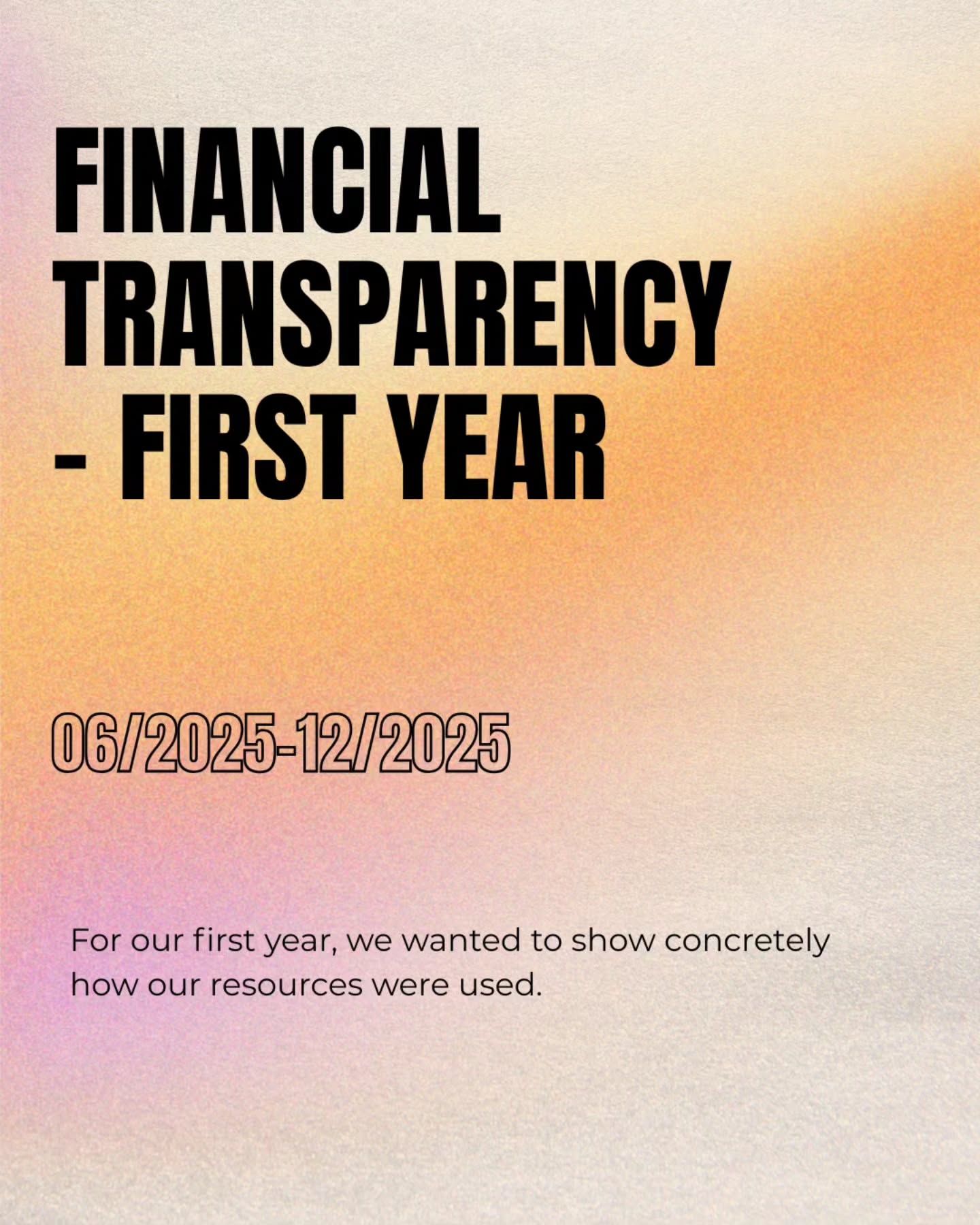 We're excited to share our first-year financial report as part of our commitment to transparency! A huge thank you to our donators for trusting us and enabling our mission, we're looking forward to expanding our outreach this year. 💛 If you are looking to donate this year, find the link to our GoFundMe in our description.