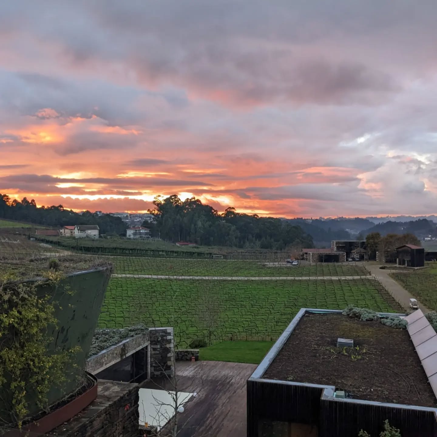 Between the quality of my phone camera and the stunning scenery it almost looks like I know how to take a picture. Quinta da Lixa, December 2022. If you like easy drinking, refreshing Vinho Verdes Lixa has something for you. If you're a huge wine nerd who wants to take a deep dive into Avesso, sparking wine with Portuguese varieties, or see what magic winemaker Carlos can make with stainless steel ferments and aging, Quinta da Lixa is the place for you. For anyone visiting Portugal in the future do not miss a trip to Monverde, the home of Quinta da Lixa.
And, of course, if you are in the US and want to try their wines, hit me up.
#wine #winelover #portuguesewine #winebiz #winestagram