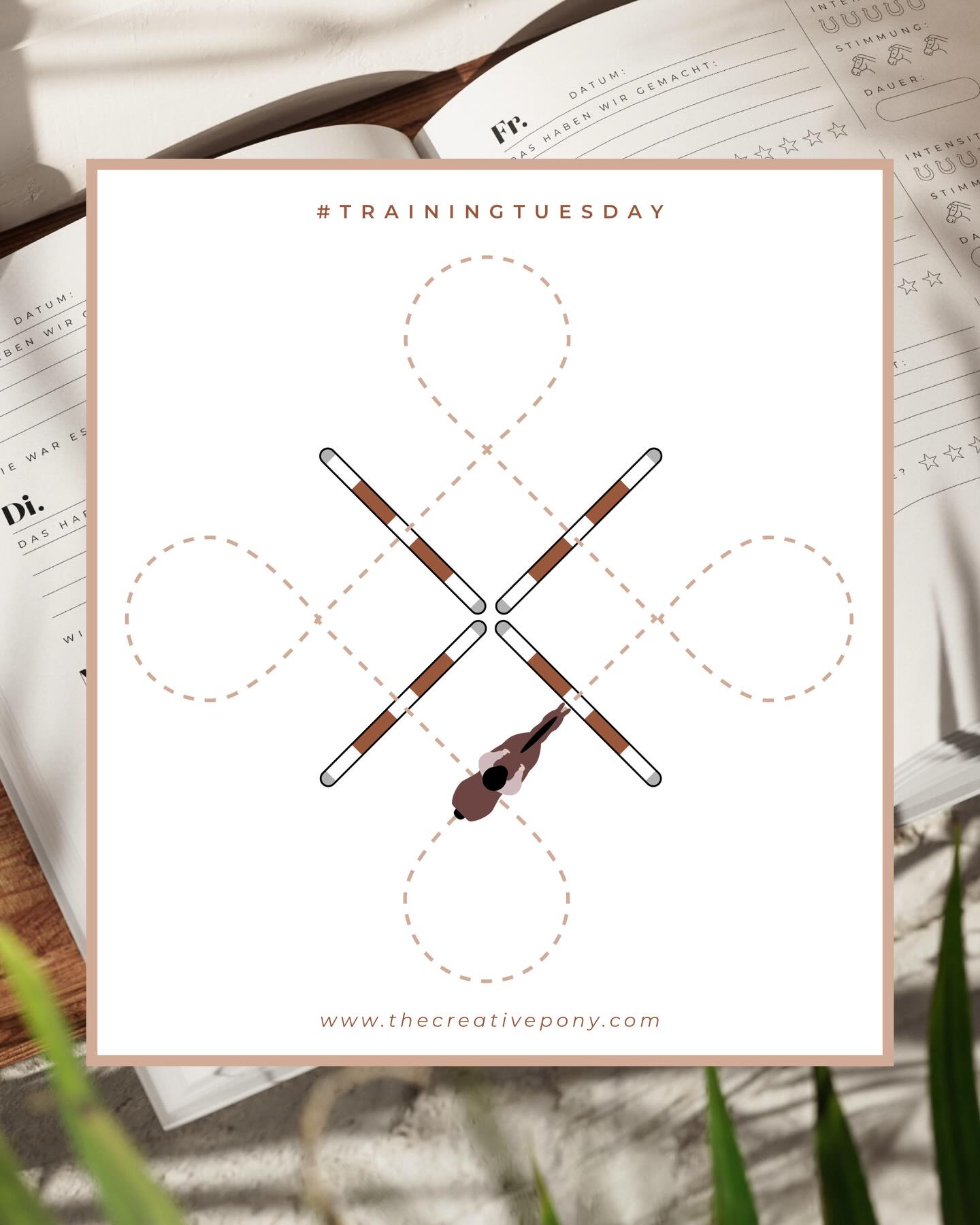#trainingtuesday 💪 schneller Aufbau mit vielen Möglichkeiten ☺️ Welche Wege und Kombinationen fallen euch noch ein?
#trainingstagebuchpferd #trainingsplanpferd #stangentraining