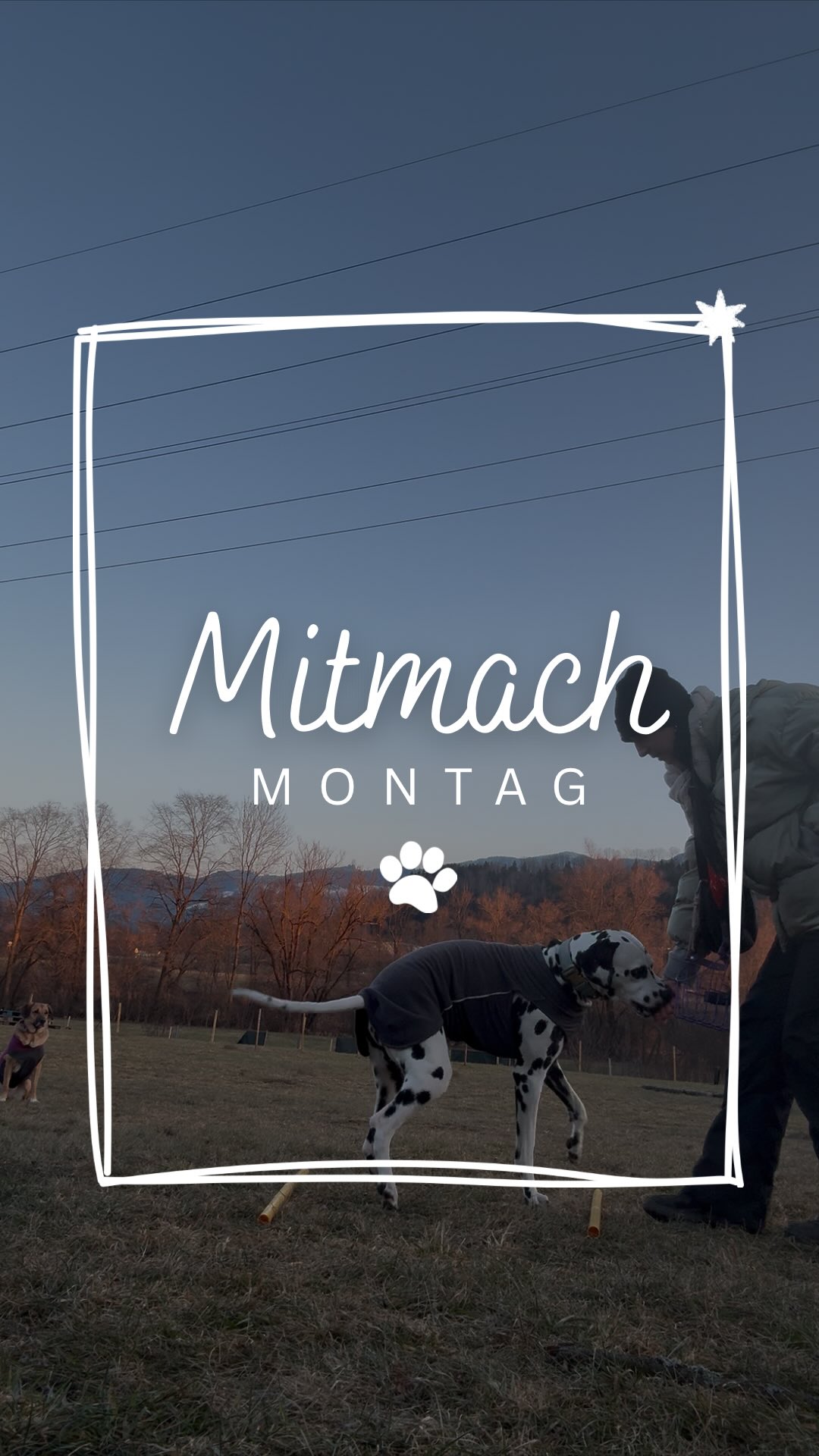 Mitmach-Montag 🐶🥰
langsames und achtsames Übersteigen von Hindernissen 🐕
es müssen keine Cavaletti-Stangen sein, ihr könnt auch etwas anderes auf den Boden legen wie z.B. einen Besen. Wichtig ist, dass der Hund so langsam und achtsam wie möglich über die Stangen steigt. Das fördert Körperbewusstsein, ruhiges Arbeiten und Konzentration.
Probiert es mal aus 🥰
#körperbewusstsein #hundetraining #hundeerziehung #konzentration