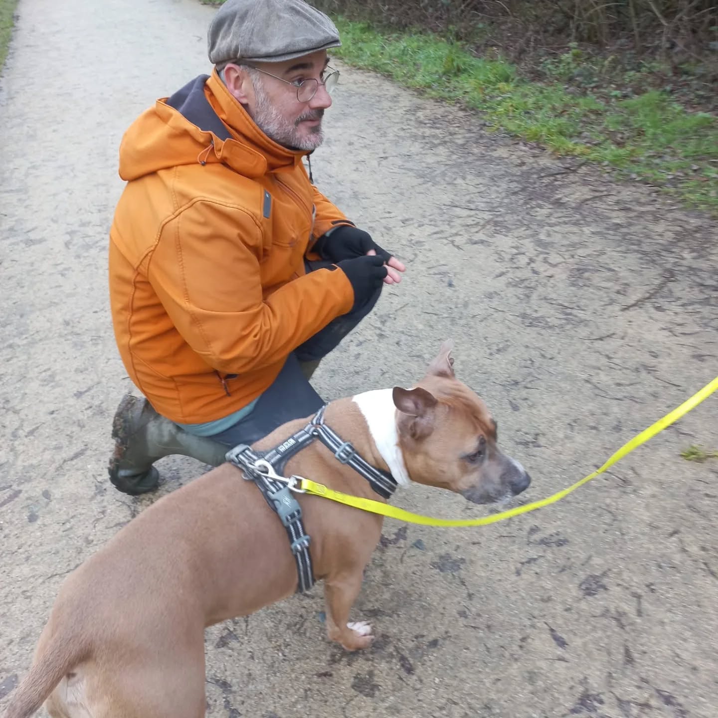 Taïko en séance banalisation chien. Des choix et beaucoup d'autonomie de ce chien qui aime communiquer de loin et n'a pas forcément envi ou besoin de contact.