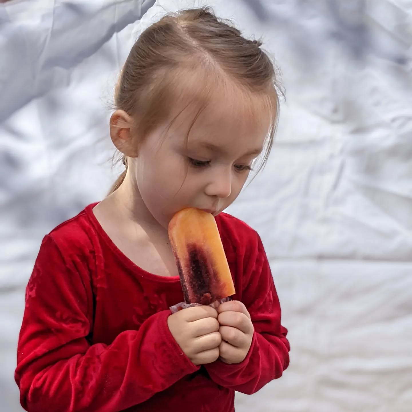 Roasted Peach & Cherry at the Oshkosh Farmers Market
