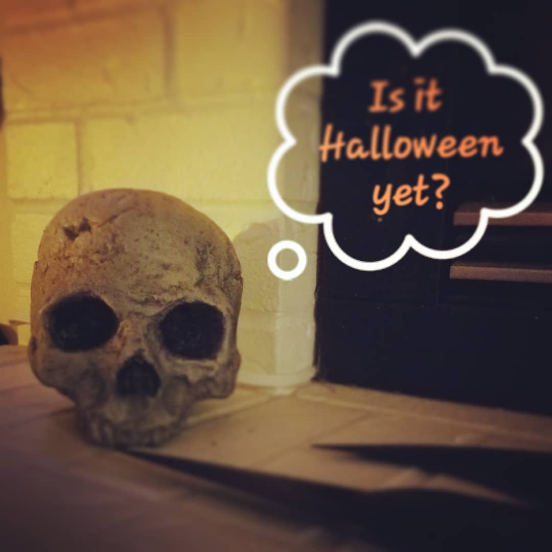 #spoopy #spooky #witchesofinstagram #witchy #halloween #ghost #samhain #ghosthunter #witchychick #pagan