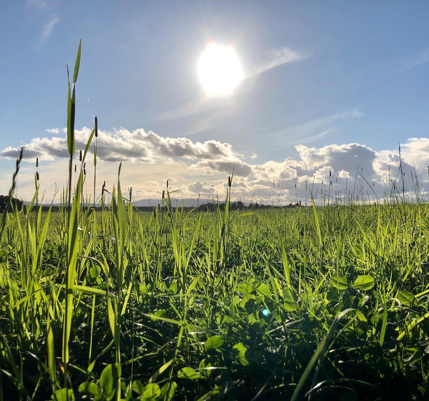 September Sunshine #nofilters