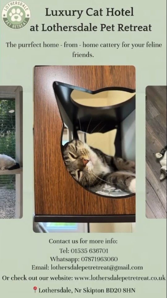 Going away? Don't forget your kitty's holiday plans!🐱✨️ Treat them to a stay at our Cat Hotel for cosy naps, endless purrs and five-star feline fun.
💬Drop us a message for booking info