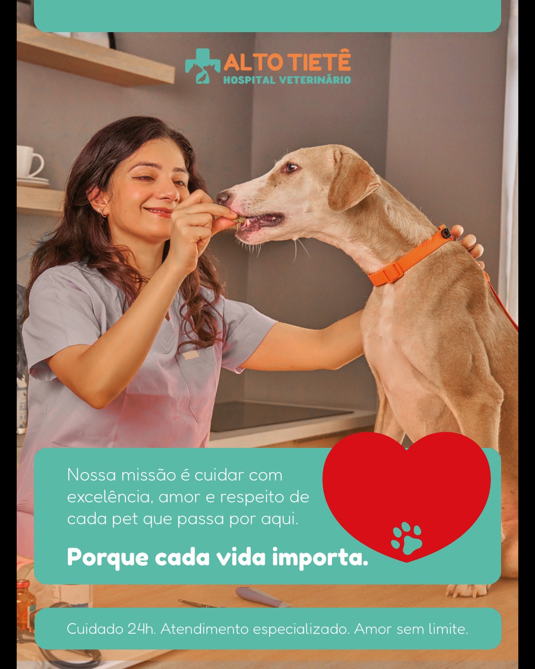 Você sabe qual é a nossa missão por aqui? 🐾
Mais do que um hospital, somos um espaço de cuidado, acolhimento e dedicação total à saúde dos animais.
Nossa missão é clara: oferecer atendimento de excelência, com amor, responsabilidade e conhecimento técnico para garantir o bem-estar de cada pet e a tranquilidade de cada tutor. 💙
📍Estamos em Arujá, com estrutura completa e equipe especializada 24h por dia.
👉 Marque um tutor que ama seu pet como família.
#HospitalVeterinário #Arujá #VeterináriaEspecializada #SaúdeAnimal #MissãoHospital #PetCare #BemEstarAnimal #VeterináriaComAmor