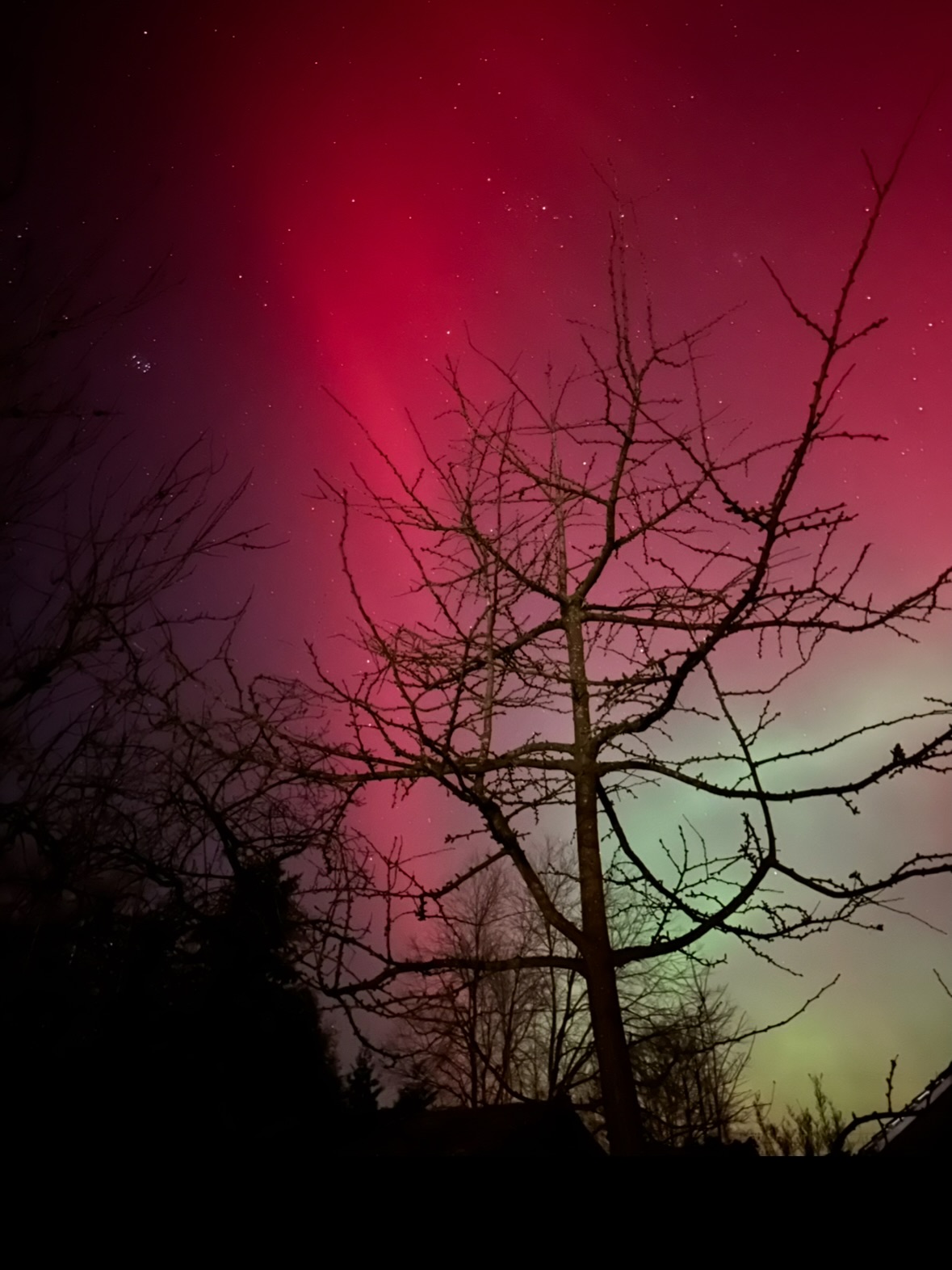 Polarlichter und mein liebster Ginkgobaum. 😍 Erst als ein Freund in Finnland uns darauf aufmerksam machte, dass auch wir Polarlichter sehen sollten, sind wir raus und dann dieses Schauspiel. 💫
Wusstest du, dass sie als Brücke zwischen Himmel und Erde gelten und als Zeichen für Transformation, Neubeginn und inneres Erwachen stehen. In vielen indigenen Kulturen haben sie eine tiefe spirituelle Bedeutung.
Bei den Sámi, dem indigenen Volk Nordskandinaviens, galten die Lichter früher als Geister oder Seelen der Ahnen, die über die Lebenden wachten. Es war wichtig, den Polarlichtern mit Respekt zu begegnen. Laute Geräusche zu machen, galt als tabu, da man die Geister nicht stören sollte.
Auch in Inuit-Traditionen wurden die Nordlichter mit Geistern, Seelen oder der Verbindung zur jenseitigen Welt assoziiert.
Spirituell gesehen erinnern Polarlichter noch heute viele Menschen daran:
✨ innezuhalten,
✨ dem Wandel zu vertrauen und
✨ die Verbindung zwischen Himmel und Erde zu spüren
Und stehen wir nicht alle ganz fasziniert und demütig unterm Sternhimmel, wenn wir mal das Glück haben, Polarlichter zu sehen?! 🥹
Mein Tipp: So richtig stark sichtbar wird es mit der IPhone-Kamera und Langzeitbelichtung (hier 10sek.). Und die App „Aurora“, um die nächsten Polarlichter nicht zu verpassen.
Hast du sie gestern auch gesehen?
•
•
•
#polarlichterdeutschland #polarlichter #nordlichter #polarlichterniedersachsen
AURORA