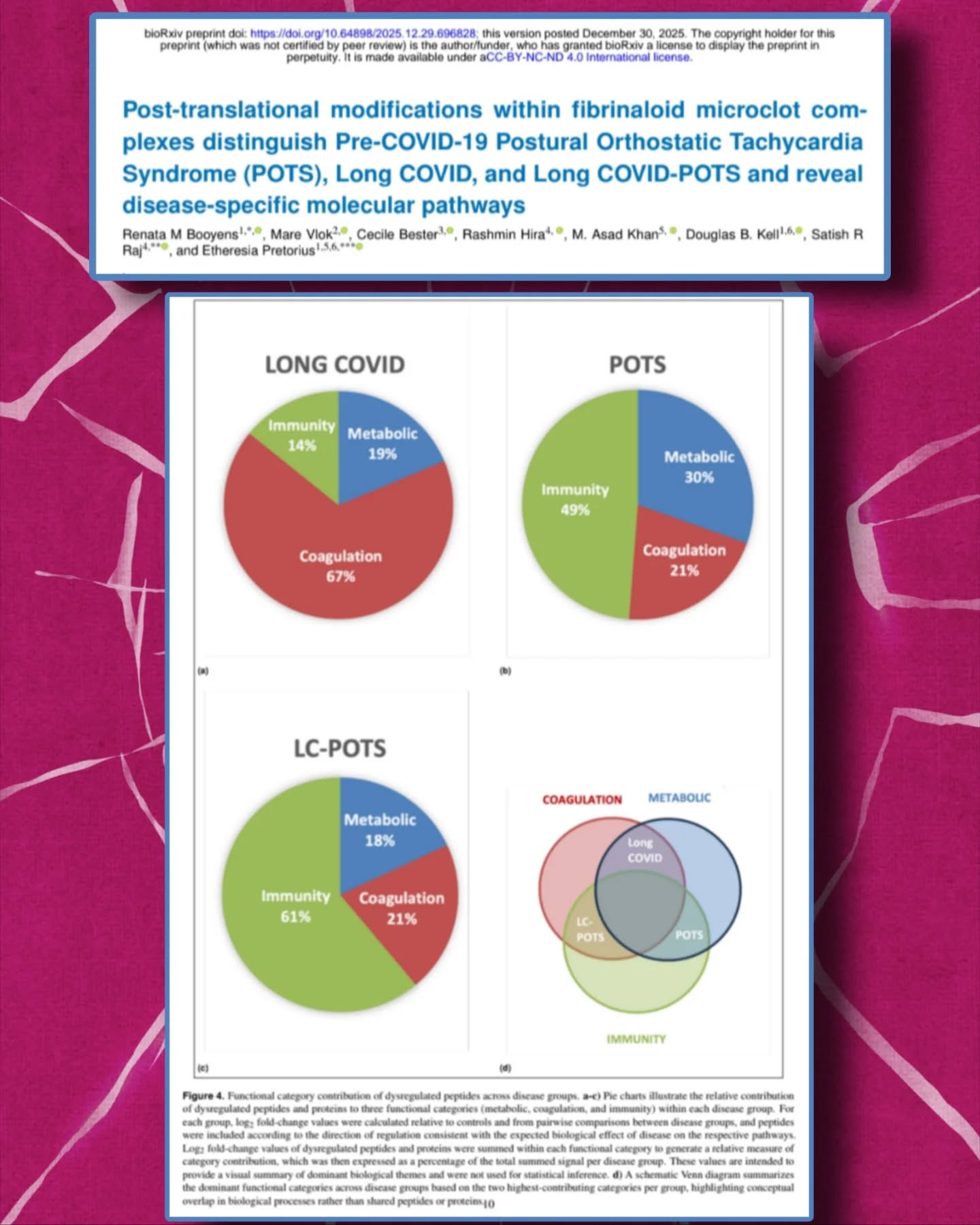 🧬🩸#CovidLong et #POTS : découverte de signatures moléculaires distinctes
🔍Une nouvelle étude (preprint) du Pr Resia Pretorius apporte des preuves biologiques majeures sur la pathologie des syndromes post-infectieux, en analysant la fraction insoluble des microcaillots sanguins.
🧪Contrairement aux examens classiques, cette recherche se concentre sur les modifications post-traductionnelles (PTM), cachées au sein des complexes de microcaillots fibrinaloïdes (FMCs).
📌Principaux constats de l’étude :
👻Mécanisme invisible
Les différences entre les groupes sont minimes sur le plan quantitatif des protéines, mais massives et spécifiques au niveau des PTM, rendant ces anomalies invisibles aux tests sanguins standards.
🔵#CovidLong
Présence dominante d’une pathologie de la coagulation, avec des signatures amyloïdes et une glycation proche du profil diabétique, suggérant des dommages microvasculaires 🩸
➡️ endothélialite thrombotique
🟠#POTS (pré-pandémique)
Signature intrinsèque liée à l’immunité et au système du complément, associée à une oxydation des apolipoprotéines, indépendamment de toute exposition au SARS-CoV-2 🧠🛡️
🟣#CovidLong + POTS
Présente un phénotype hybride, combinant les troubles de la coagulation du Covid long et les dérèglements immunitaires caractéristiques du POTS.
🔵CovidLong et les dérèglements immunitaires du POTS classique.
👉Perspectives cliniques :
Le profilage de ces microcaillots ouvre la voie à un diagnostic fondé sur des biomarqueurs précis 🧬 et à des thérapies ciblées🎯 agissant sur :
- le stress oxydatif
- la glycation
- l’activation du complément
L’étude confirme que ces agrégats sont résistants à la fibrinolyse🩸, expliquant la persistance des symptômes⏳malgré des bilans biologiques souvent jugés « normaux ».
🗣️Message clé à retenir, partagé par Pr Resia Pretorius :
« Le CovidLong, le POTS et le CovidLong-POTS sont des maladies biochimiquement distinctes.
Leurs différences sont inscrites dans les modifications post-traductionnelles au sein des complexes de microcaillots fibrinaloïdes, et non dans l’abondance des protéines. »
📖Étude complète : https://www.biorxiv.org/content/10.64898/2025.12.29.696828v1.full.