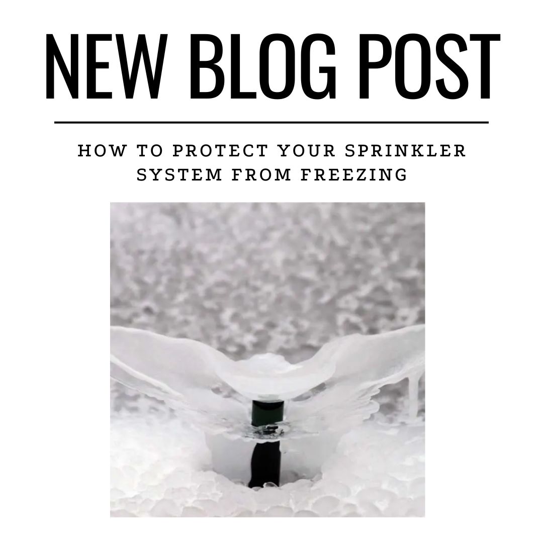 ❄️Protect Your Sprinkler System from Freezing!❄️
Winter can be tough on your irrigation system! Freezing temperatures can cause pipes to burst, leading to costly repairs. But don’t worry, we’ve got you covered!
👉 Check out our latest blog: "How to Protect Your Sprinkler System from Freezing" for expert tips on winterizing your system and avoiding damage.
Read it here: https://ow.ly/5AnB50V0tLH
#SprinklerWinterization #FreezeProtection #IrrigationTips #LawnCare #TheSprinklerCompany #WinterReady