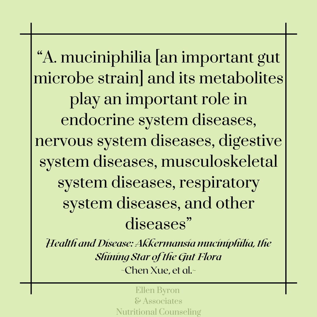 New on the Blog!!
There is new research looking at the gut microbe strain called Akkermansia muciniphilia and its potential health benefits!
This strain of bacteria that is naturally found in the human gut microbiome as well as in human breast milk is shaping up to be the next big probiotic. Research has begun looking at how various types of diseases are impacted by A. muciniphilia levels and the results are looking promising.
Head over to the blog for more on the research between disease risk and prevention and the levels of Akkermansia muciniphilia.
-
#nutritionblogger #nutritionresearch #gutmicrobiome #dietitansofig #gutmicrobiomeresearch #akkermansiamuciniphila