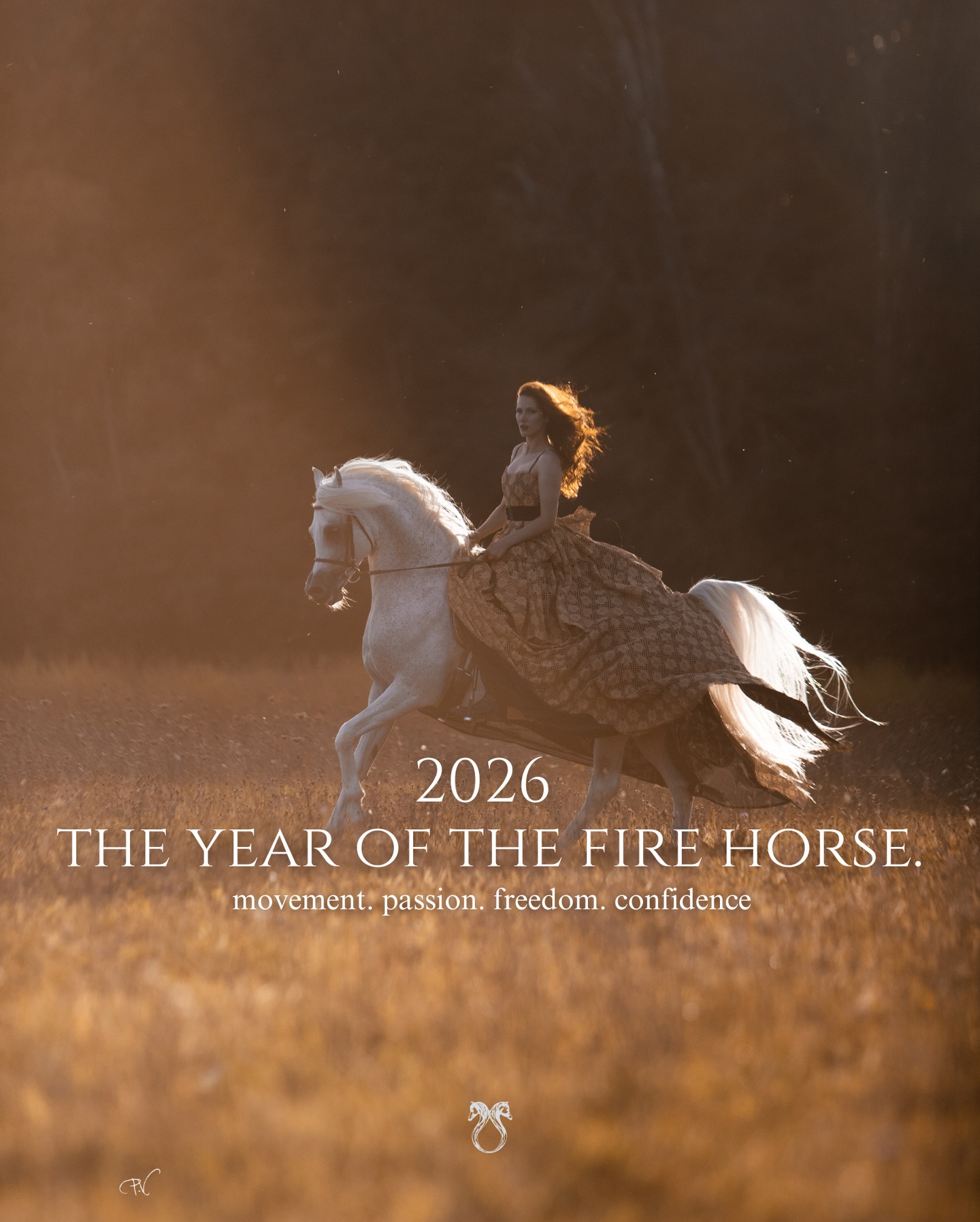 Influenced by what we equestrians admire most: The Horse.
Movement. Passion. Freedom. Confidence.
Strength without arrogance.
Power with purpose.
The year of the fire horse inspires us:
Courage and confidence to trust our own path.
A year to ride with intention. No pressure, just progress.
In honor of the animal that shapes our lives.
For those who live the lifestyle, and for those, who understand.