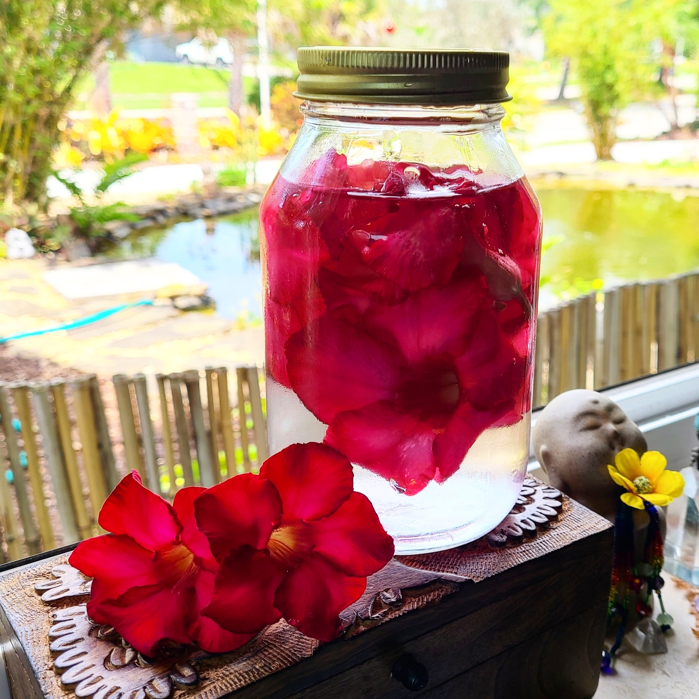This is what Blood Red Desert Rose Flower Essence percolating looks like ⚘
..
..
This is the flower essence that was included in this 1st round of personal hygiene products. It's what connects all the products even though they're very different from one another 🌟
..
..
The color red for me is about discovering my passions, having plenty of energy to get things done, enthusiastically mapping towards a completely different True North, and just luxuriating in such a rich ray of Light. This is currently my favorite color and has been for many years.
..
..
..
..
..
..
..
..
..
..
..
..
..
..
..
..
..
..
..
#BloodyRed #DesertRose #passion #NatureHealsEverything #BringNatureIn #SelfCare #SafePersonalHygiene #Organic #SmallBatch #BuyLocal #SeasonalBrightLiving #BrightLife #Colortherapy #EmotionalWellbeing #EmotionalBalance #Aromatherapy #FlowerEssenceTherapy #EssentialOils #Sarasota #SarasotaFlorida #SouthwestFlorida #TwelveStep #AlAnon #Meditation #ActiveMeditation