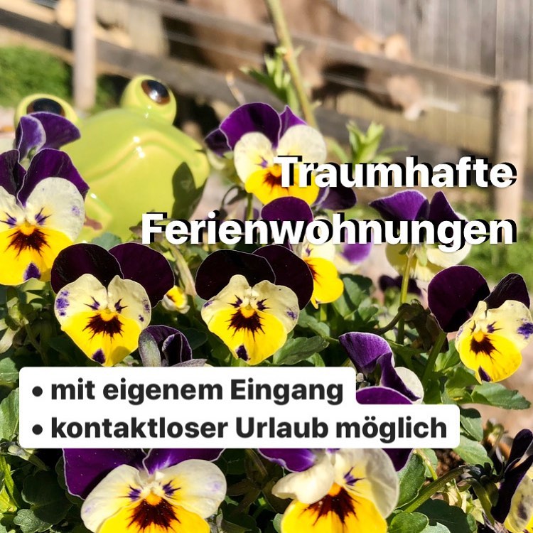 Ab 29. Mai gehts wieder los!
Unter Einhaltung aller Hygienevorschriften, kontaktlos, mit Maske oder mit Abstand halten ... vielleicht am Bauernhof 🇦🇹 mit Baby Kälbchen - statt #babyelefant 🤪
#hintergrabenbauer #ferienhof #biohof #urlaubinösterreich🇦🇹 #pyhrn_priel #pyhrnpriel #spitalampyhrn #urlaubambauernhof #urlaubambiobauernhof #bauernhofurlaub #bauernhof #biobauernhof #bauernhoftiere #bauernhofleben #ferienwohnung #ferienwohnungen #naturpur #bio
#bioausleidenschaft #bioaustria