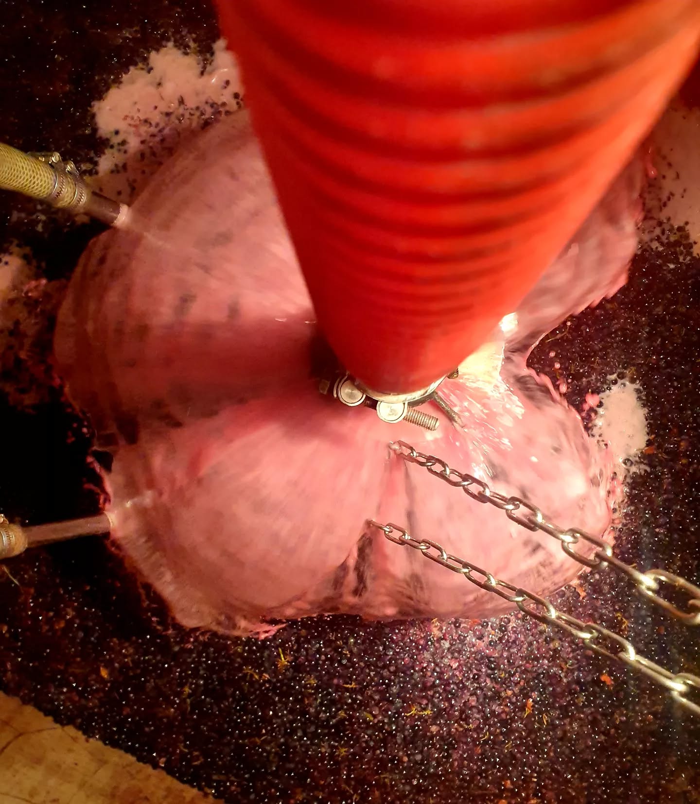 Saturday night fever 🤩