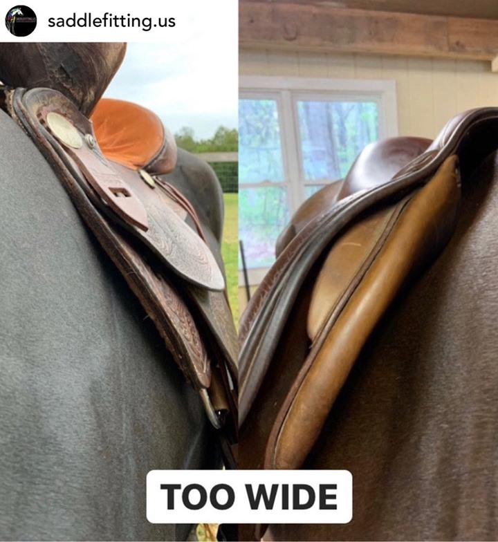 👉🏿It is so important t𝐨 𝐟𝐢𝐭 𝐲𝐨𝐮𝐫 𝐬𝐚𝐝𝐝𝐥𝐞 correctly.
👉🏽It is also important 𝐭𝐨 𝐠𝐞𝐭 𝐚 𝐬𝐚𝐝𝐝𝐥𝐞 𝐭𝐡𝐚𝐭 𝐟𝐢𝐭𝐬 correctly, not just for your benefit, but also for your horse 🐎
Do you have a saddle that doesn't fit well anymore?
Why not sell your saddle on our marketplace?...
⬇️
𝐎𝐮𝐫 𝐦𝐚𝐫𝐤𝐞𝐭𝐩𝐥𝐚𝐜𝐞 ᴏᴘᴇʀᴀᴛᴇ𝐬 ᴀᴛ ᴀ ғʀᴀᴄᴛɪᴏɴ ᴏғ ᴛʜᴇ ᴘʀɪᴄᴇ 𝐨𝐟 𝐨𝐭𝐡𝐞𝐫 𝐨𝐧𝐥𝐢𝐧𝐞 𝐚𝐮𝐜𝐭𝐢𝐨𝐧 𝐬𝐢𝐭𝐞𝐬, 𝐚𝐧𝐝 𝐩𝐫𝐨𝐯𝐢𝐝𝐞𝐬 𝐚 𝐩𝐥𝐚𝐜𝐞 𝐟𝐨𝐫 𝐞𝐪𝐮𝐞𝐬𝐭𝐫𝐢𝐚𝐧𝐬 𝐚𝐥𝐥 𝐨𝐯𝐞𝐫 𝐭𝐡𝐞 𝐔𝐊 𝐜𝐚𝐧 ғɪɴᴅ ᴛʜᴇ ᴘᴇʀғᴇᴄᴛ 𝐬ᴀᴅᴅʟᴇ 𝐟𝐨𝐫 𝐭𝐡𝐞𝐢𝐫 𝐡𝐨𝐫𝐬𝐞.
READ MORE and FIND OUT HOW TO SELL YOUR USED/ UNUSED SADDLE ...just press the link in our bio➡️
Repost @saddlefitting.us
#fityoursaddle #correctfitting #saddleforsale #saddlefitting #saddlefitter #horsesofinstagram #ridersofinstagram #perfectsaddle #equestrianmarketplace #saddlemarketplace #unusedsaddle #lovehorses #newsaddle #equestrianstyle
#Saddletrader #saddletraderuk #Saddle #Saddleforsale #stocksadle #horseridinguk #horsesofinstagram #Tackforsale #saddleshop #saddlery #PerfectSaddle #Spotthedifference #countrylife #horserider #equinelove #countrysideliving